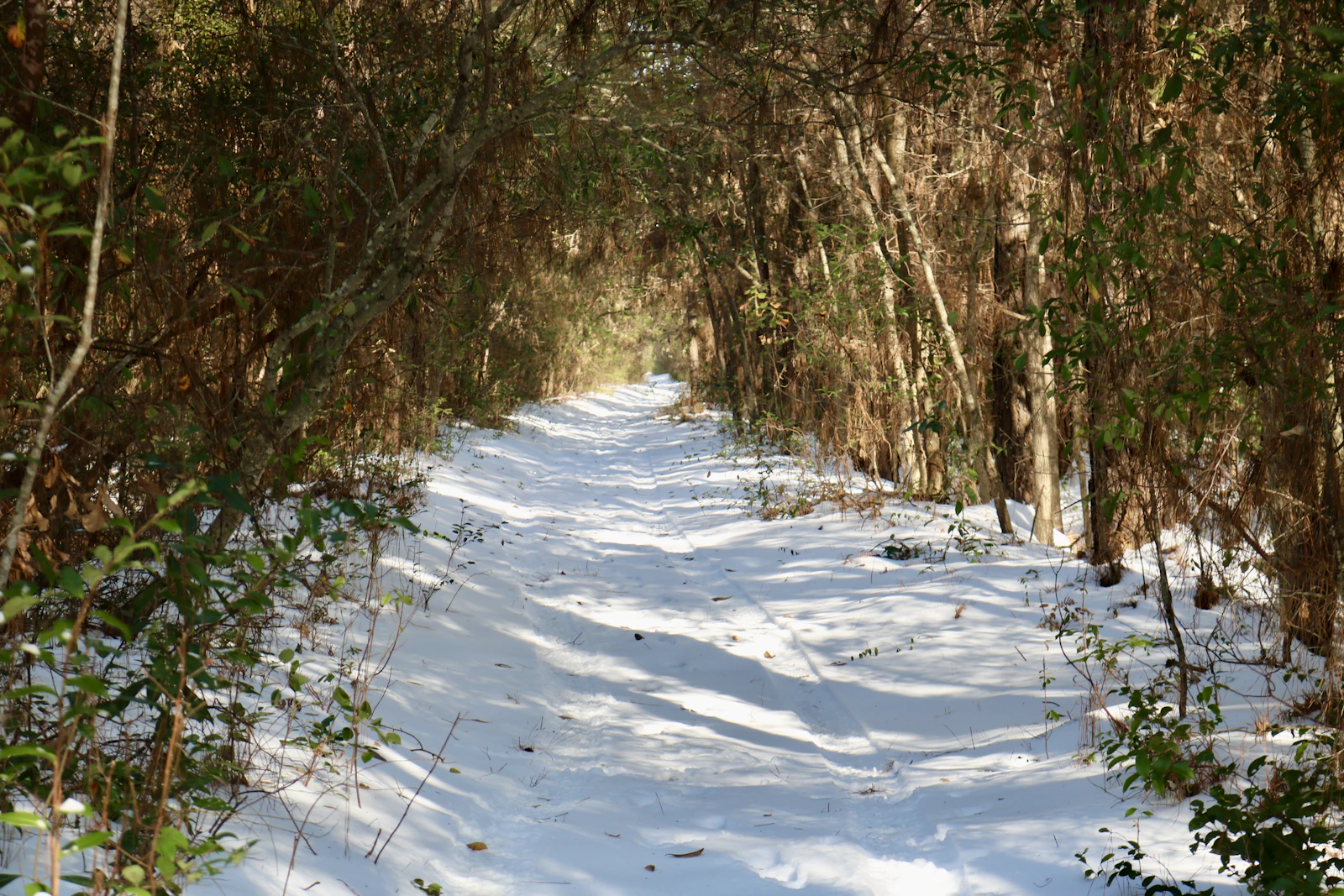 Wilmington, North Carolina photo 27 by kayligrace moody
