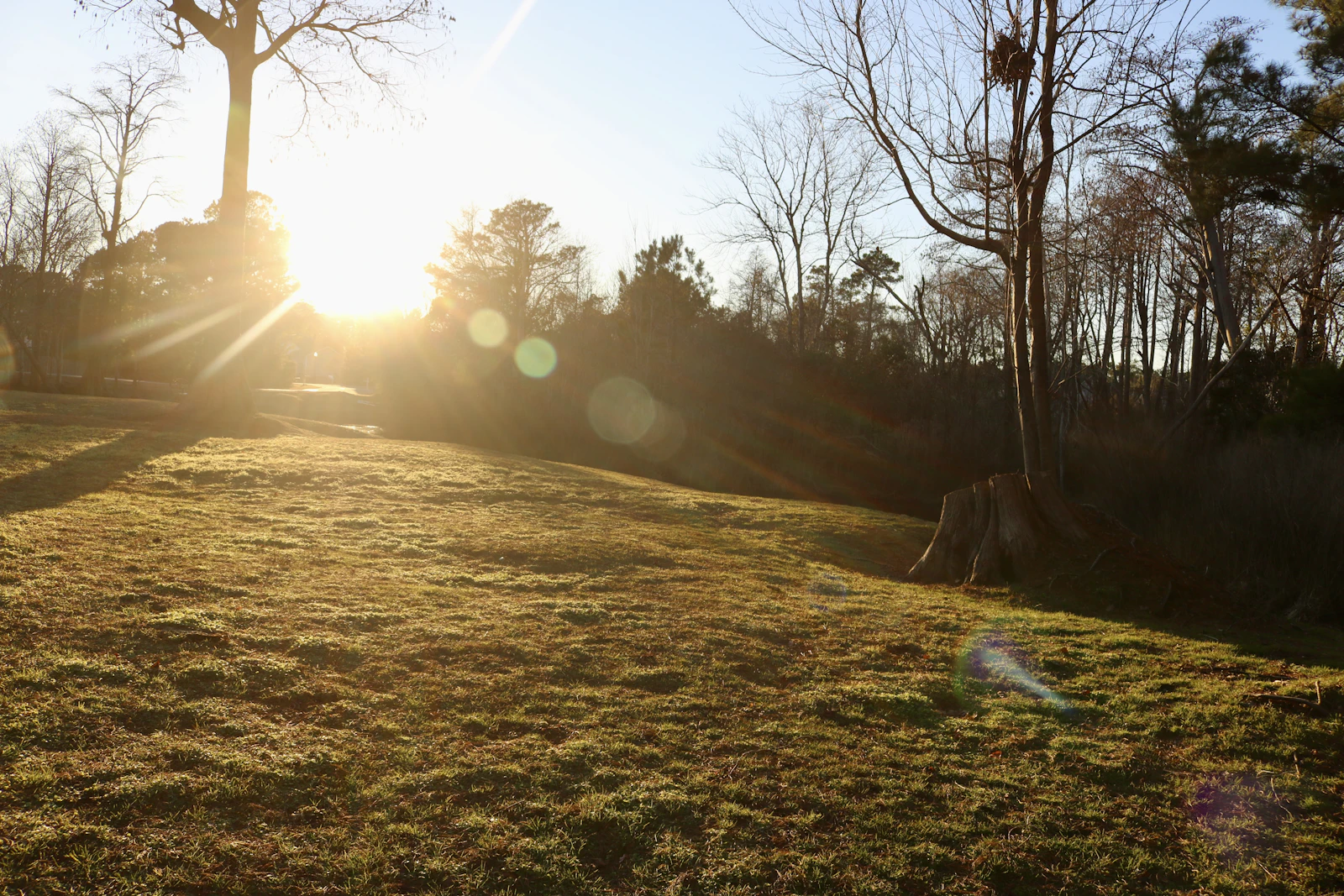 Wilmington, North Carolina photo 22 by kayligrace moody