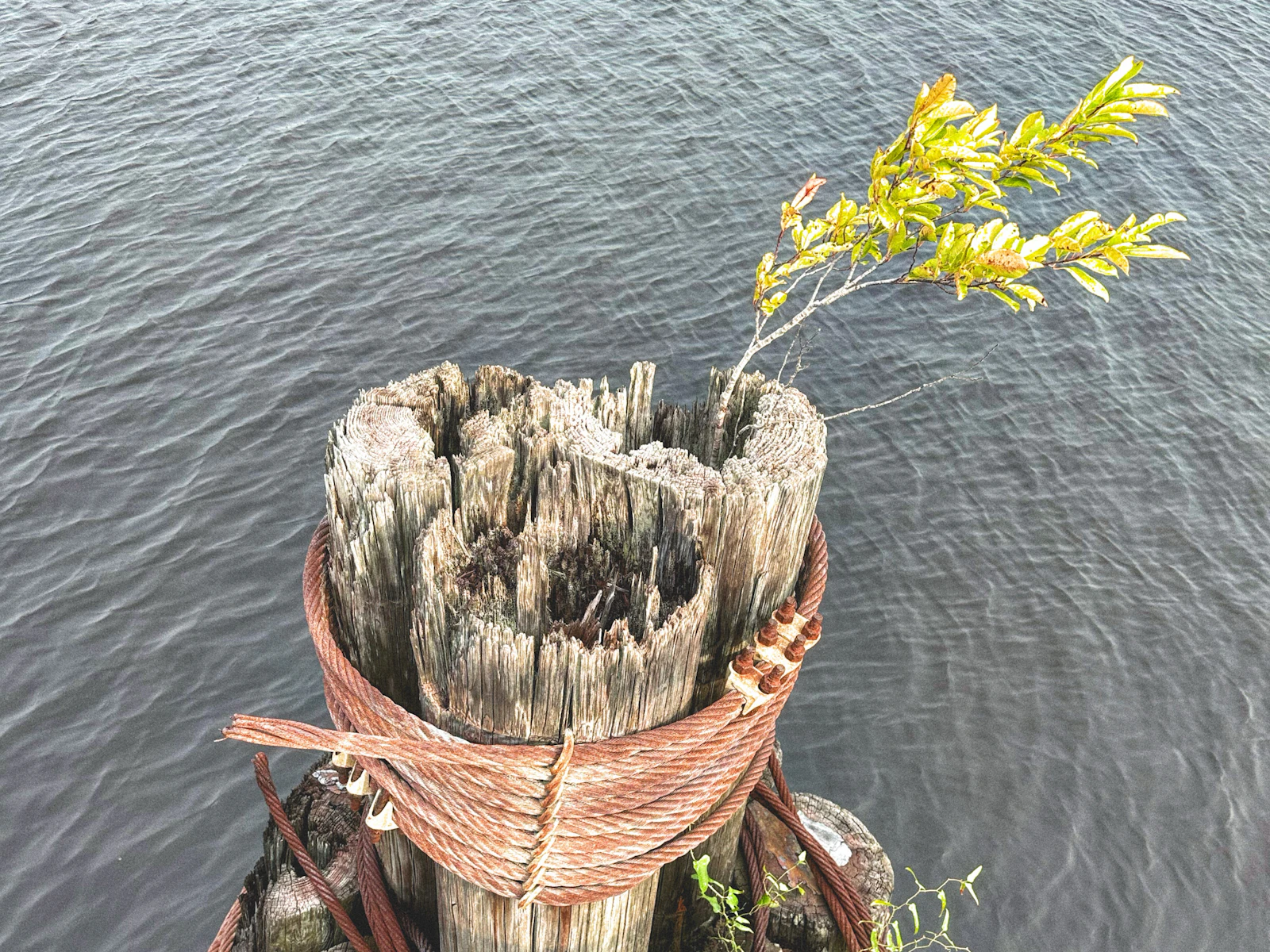 Wilmington, North Carolina photo 14 by Josh Austin