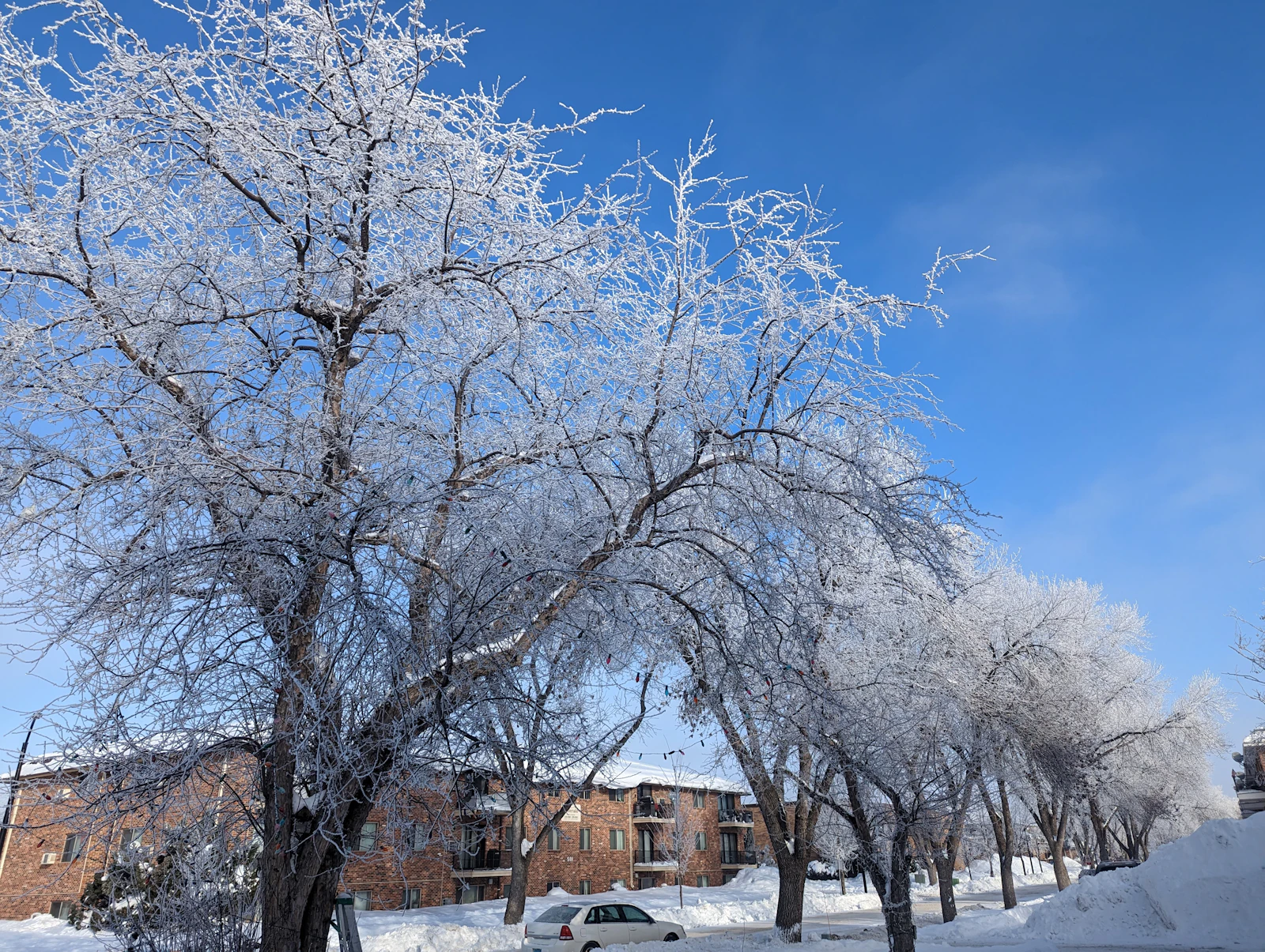 Fargo, North Dakota photo 16 by Sunil GC