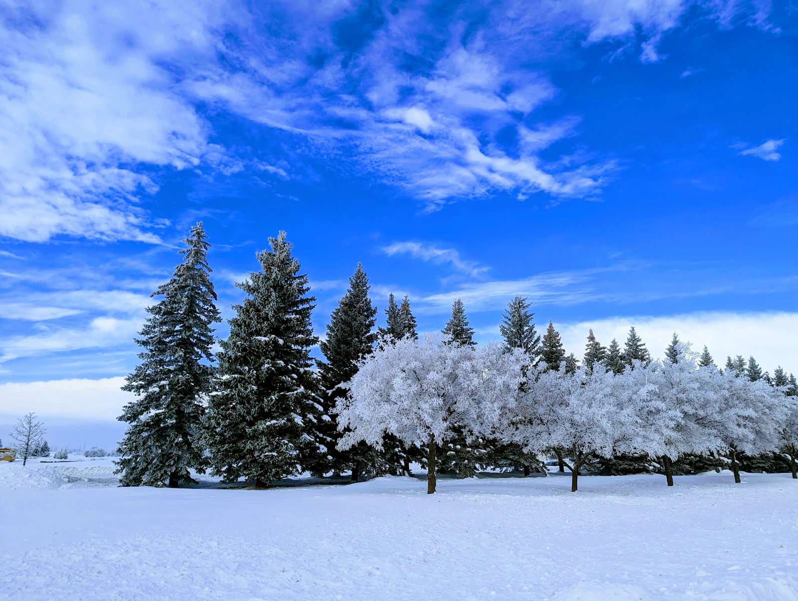 Fargo, North Dakota photo 17 by Sunil GC