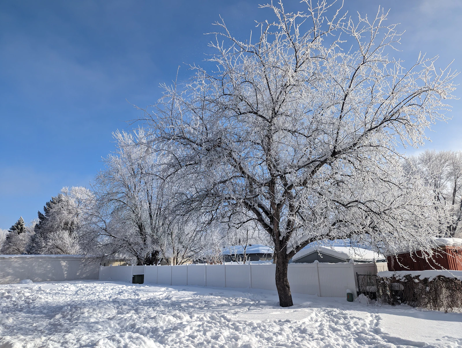 Fargo, North Dakota photo 8 by Sunil GC