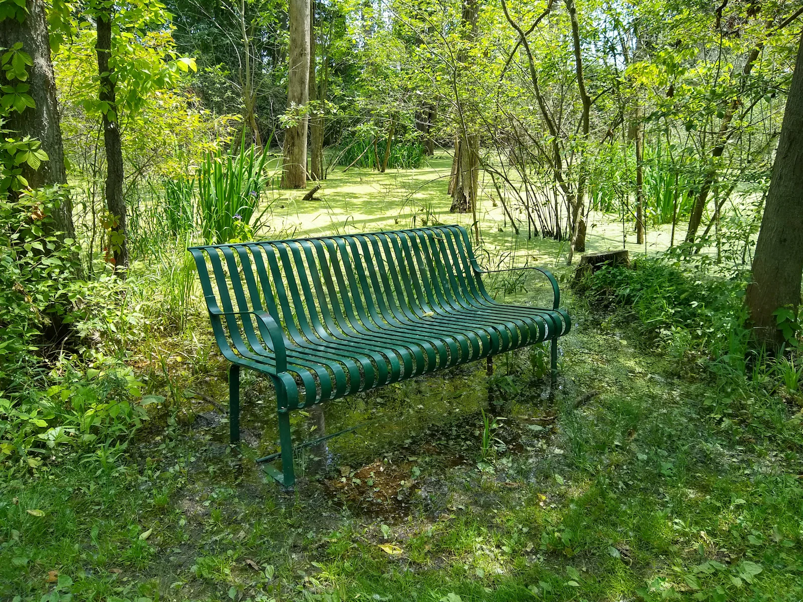 Sandusky, Ohio photo 5 by Roger Oney