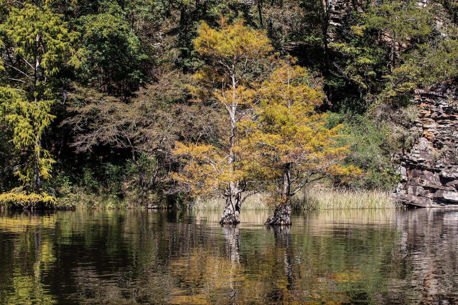 Broken Bow, Oklahoma photo 10 by Gerhard Crous