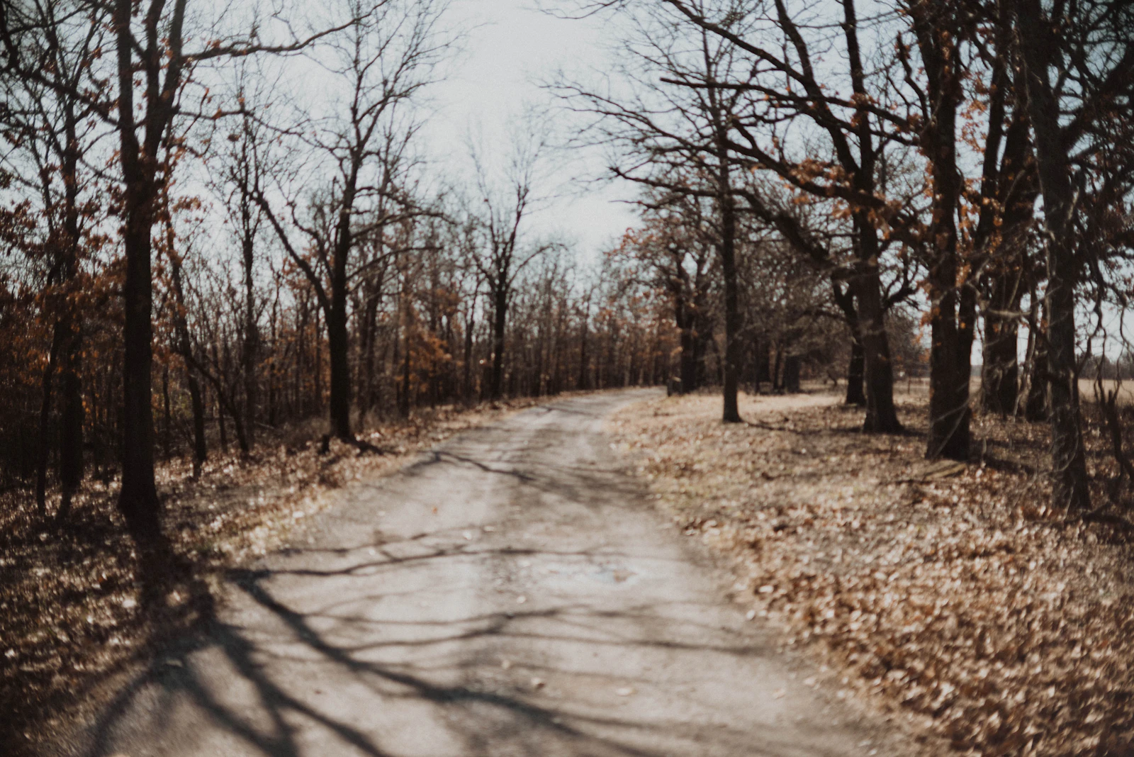 Broken Bow, Oklahoma photo 26 by Hayden Scott