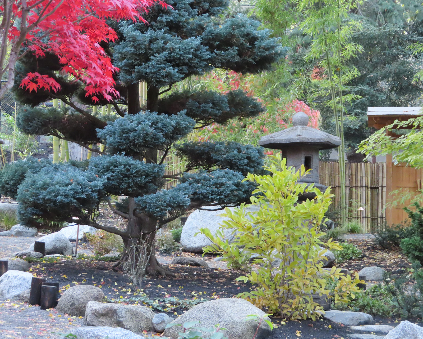 Ashland, Oregon photo 12 by Mona Kool-Harrington