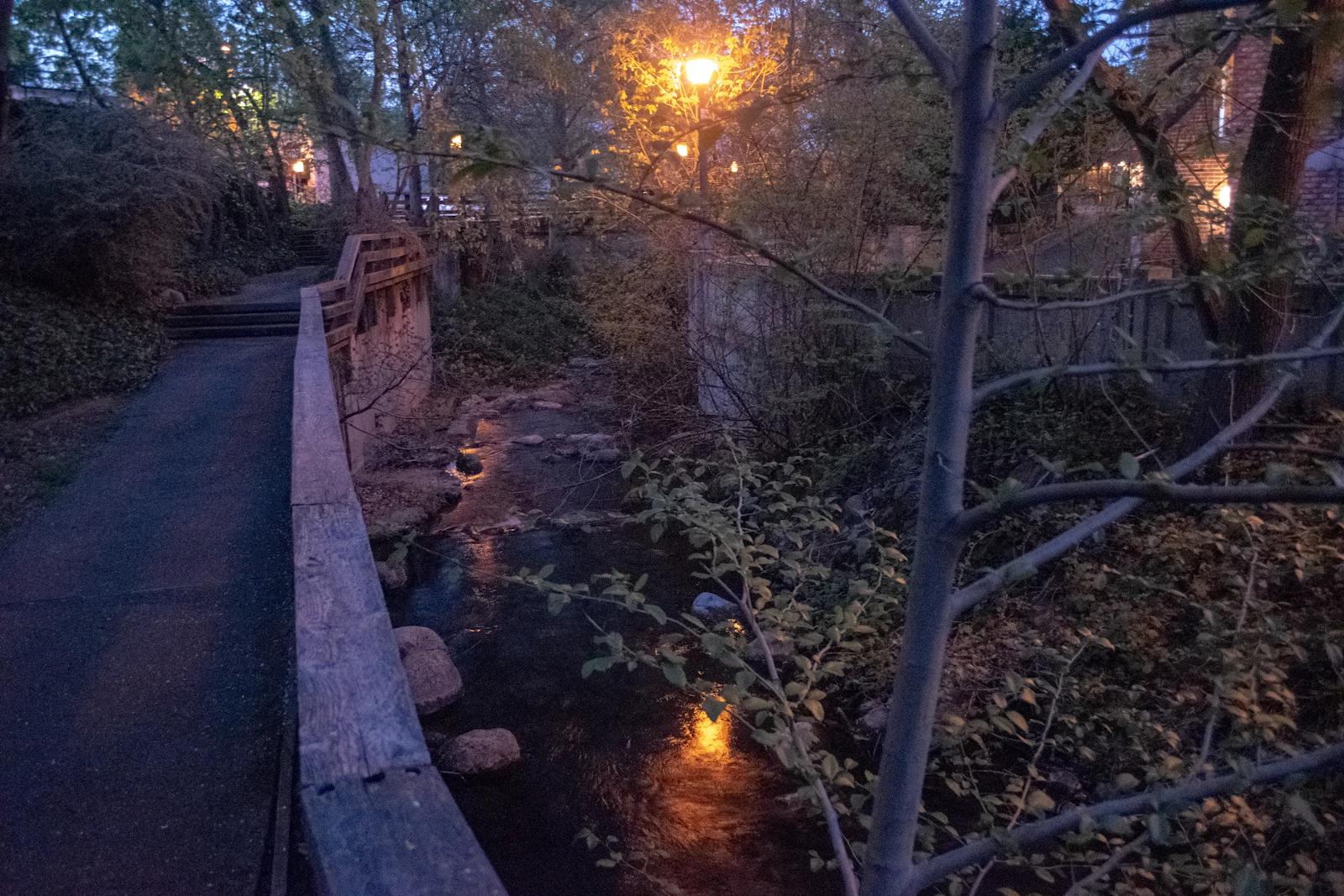 Ashland, Oregon photo 10 by Robert Gray