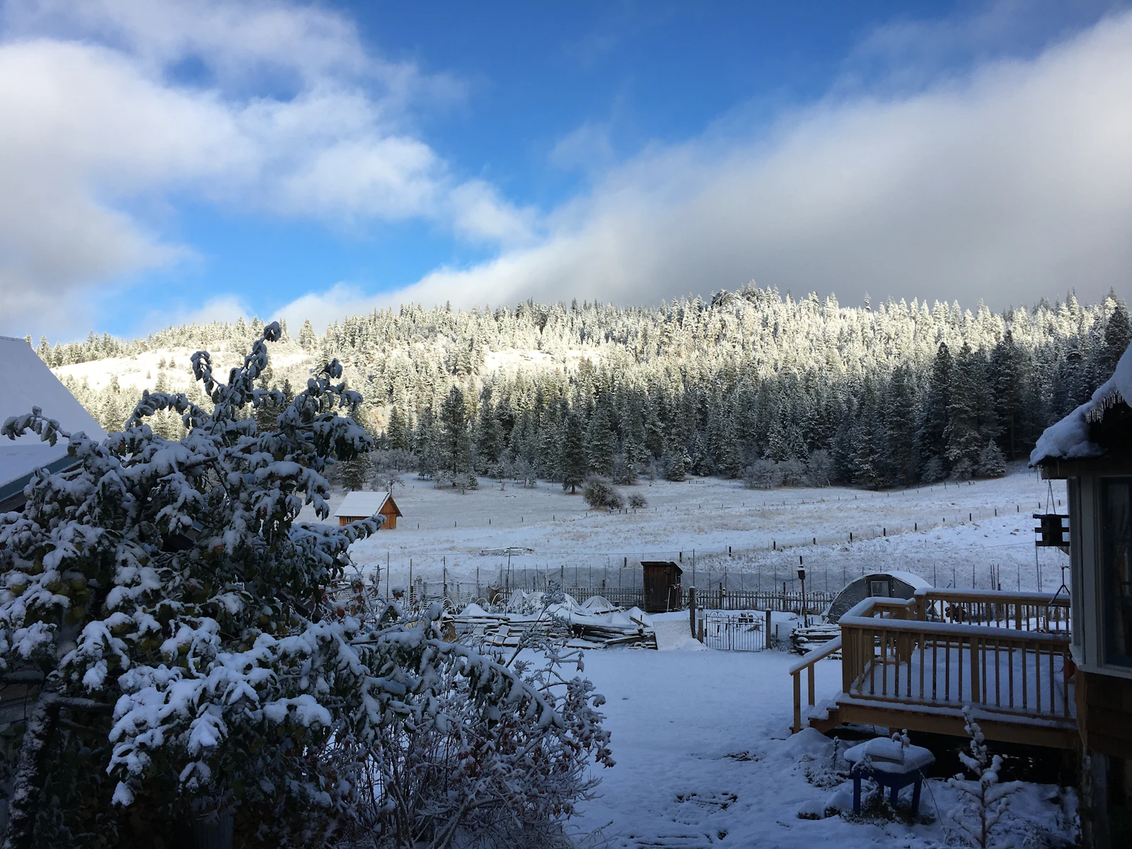 Ashland, Oregon photo 2 by Zhi Sun
