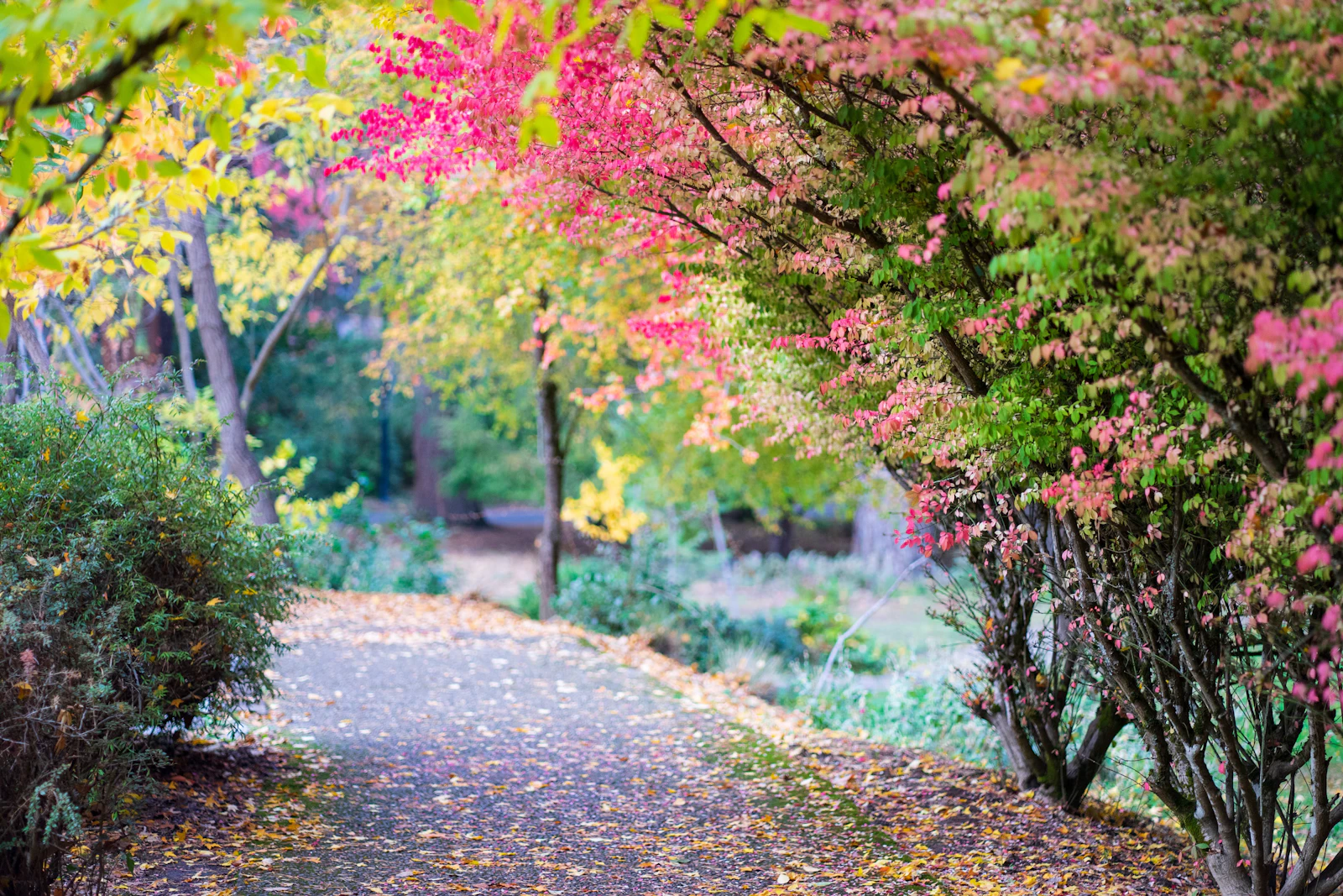 Ashland, Oregon photo 24 by Christian Fletcher