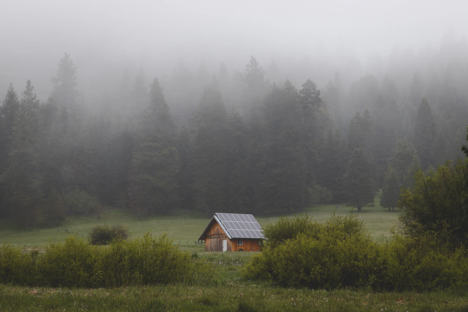 Ashland, Oregon photo 16 by Alex Bierwagen