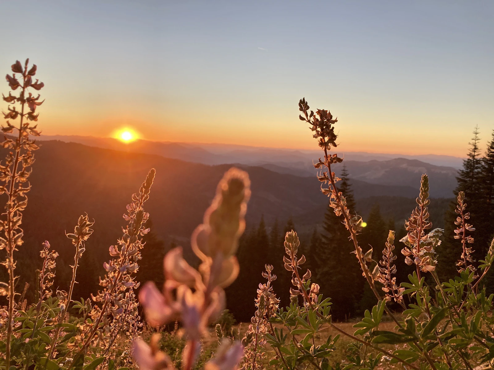 Ashland, Oregon photo 8 by makenzie cooper