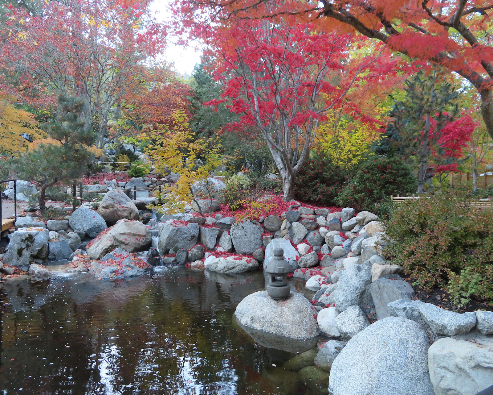 Ashland, Oregon photo 19 by Mona Kool-Harrington