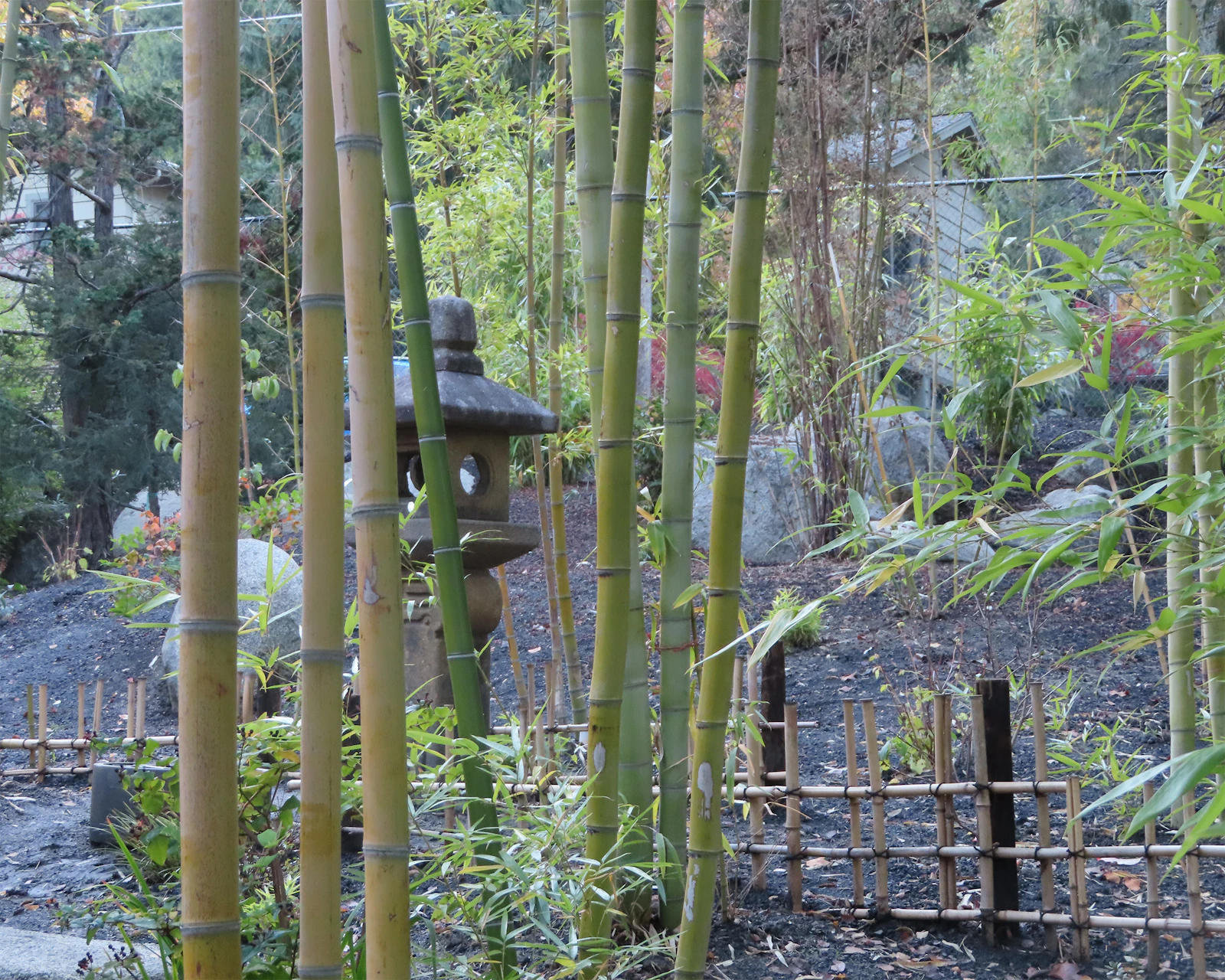 Ashland, Oregon photo 15 by Mona Kool-Harrington