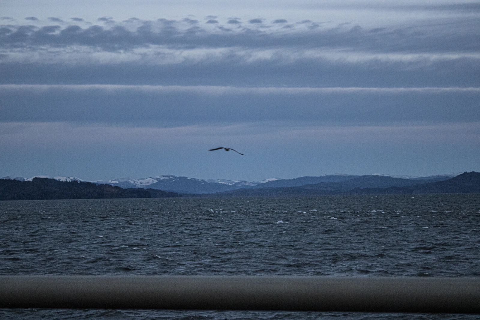 Astoria, Oregon photo 18 by Peter Robbins