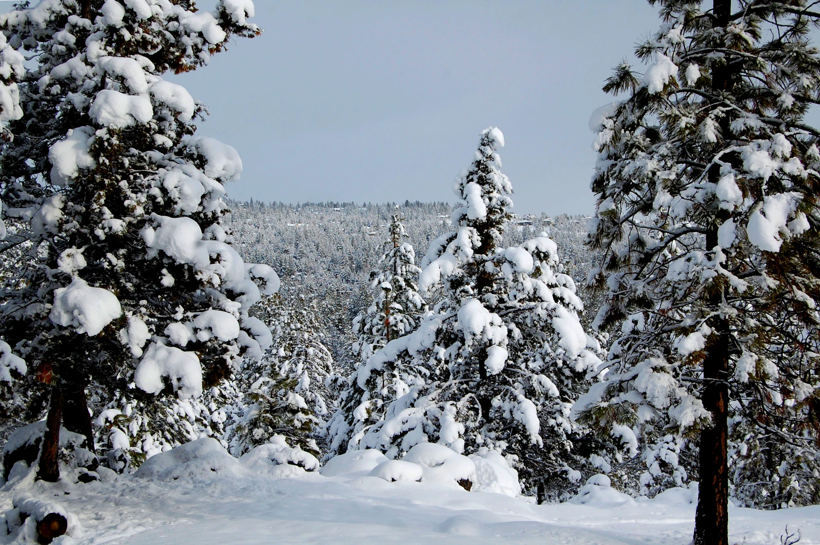 Bend, Oregon photo 14 by shane Keaney