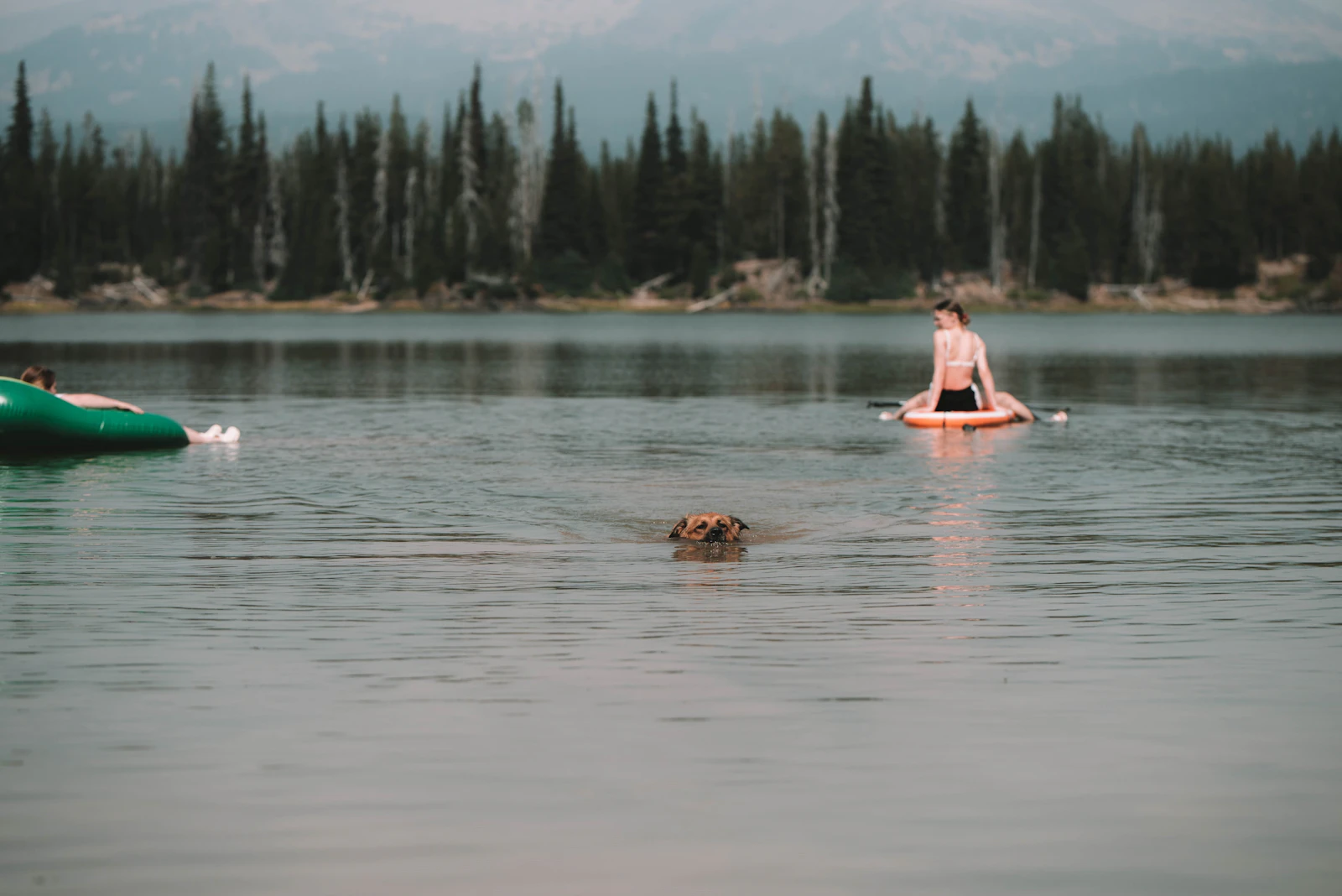 Bend, Oregon photo 23 by Cortney Chummoungpak