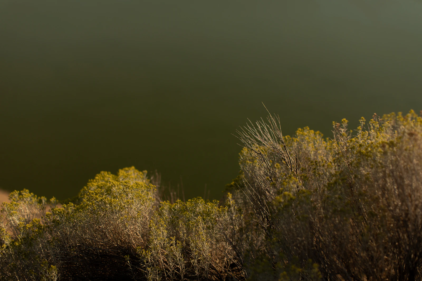 Bend, Oregon photo 24 by Emma Swoboda