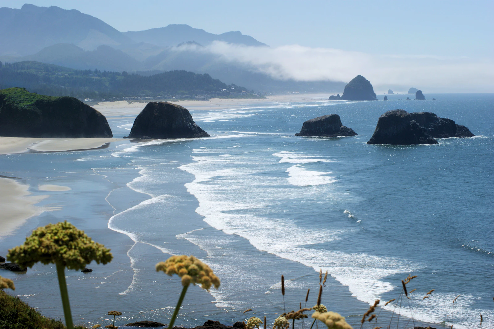 Cannon Beach, Oregon photo 1 by rod m