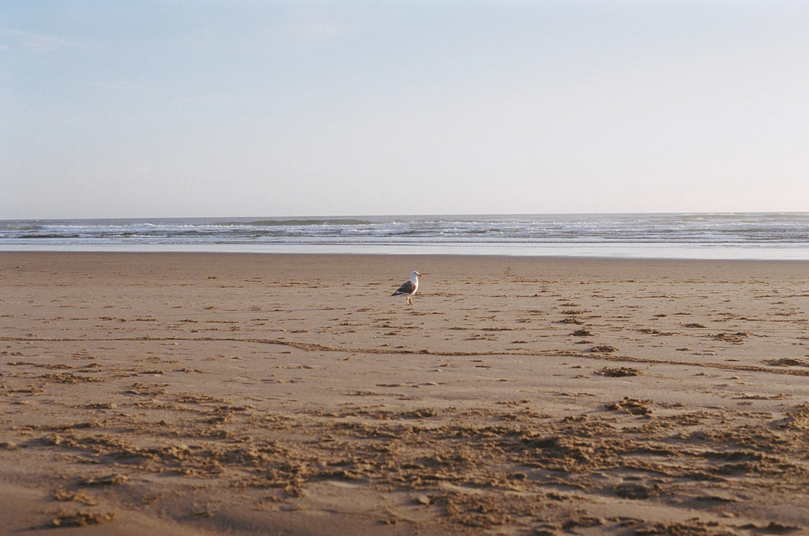 Cannon Beach, Oregon photo 13 by anas duhaithem