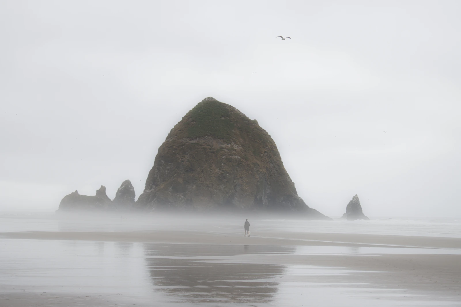 Cannon Beach, Oregon photo 9 by Matthias Münning