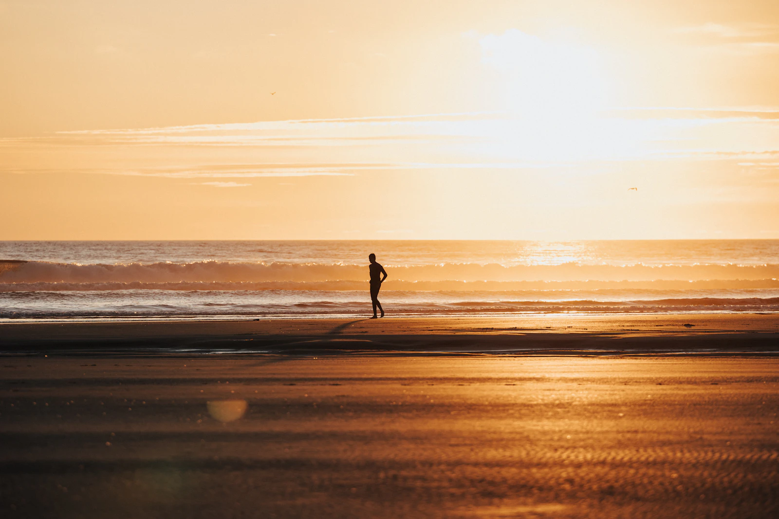 Cannon Beach, Oregon photo 26 by Joshua Ferdico