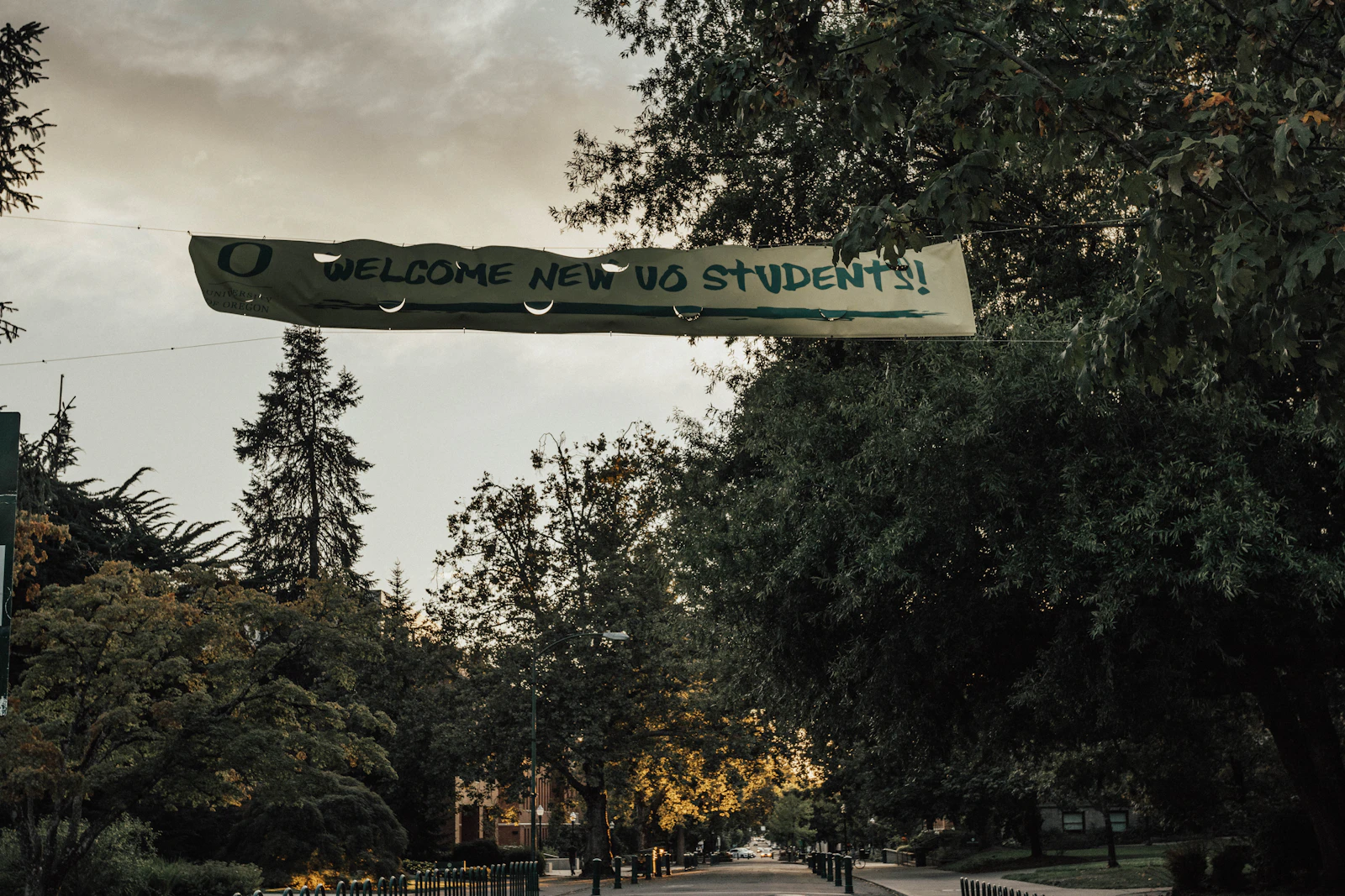 Eugene, Oregon photo 13 by Casey Olsen