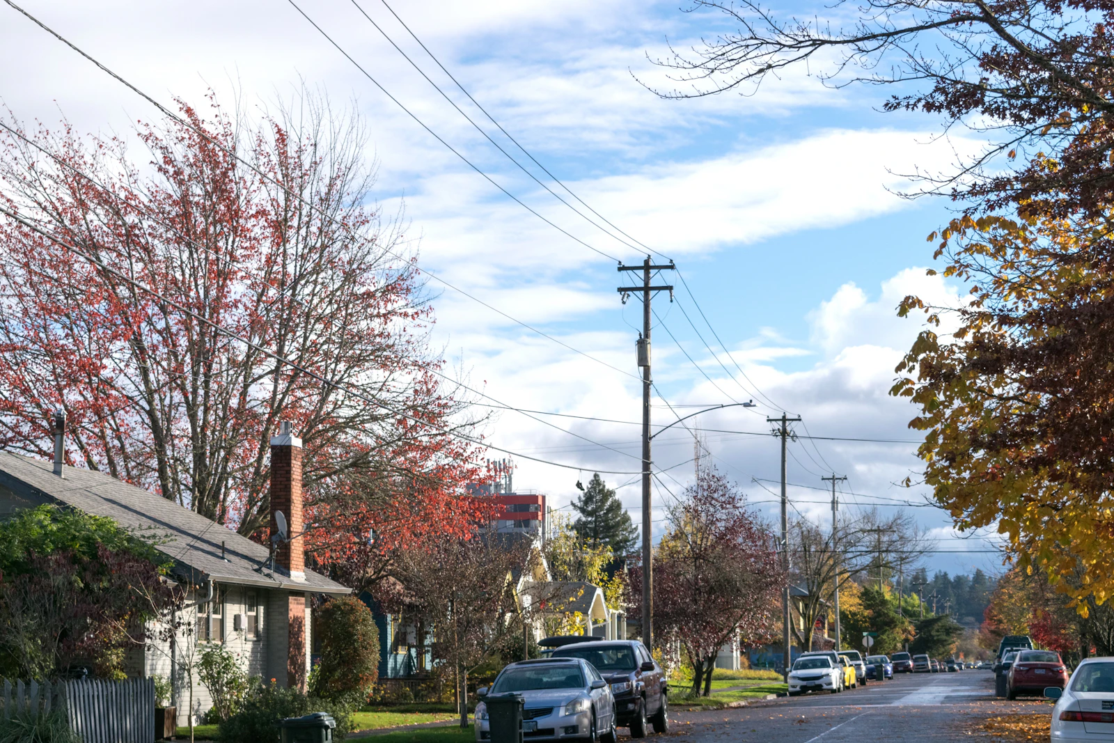 Eugene, Oregon photo 7 by fr0ggy5