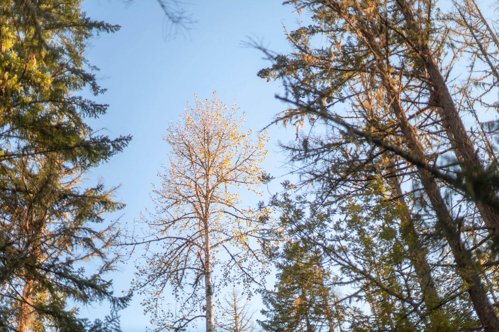 Eugene, Oregon photo 20 by Sinjin Thomas