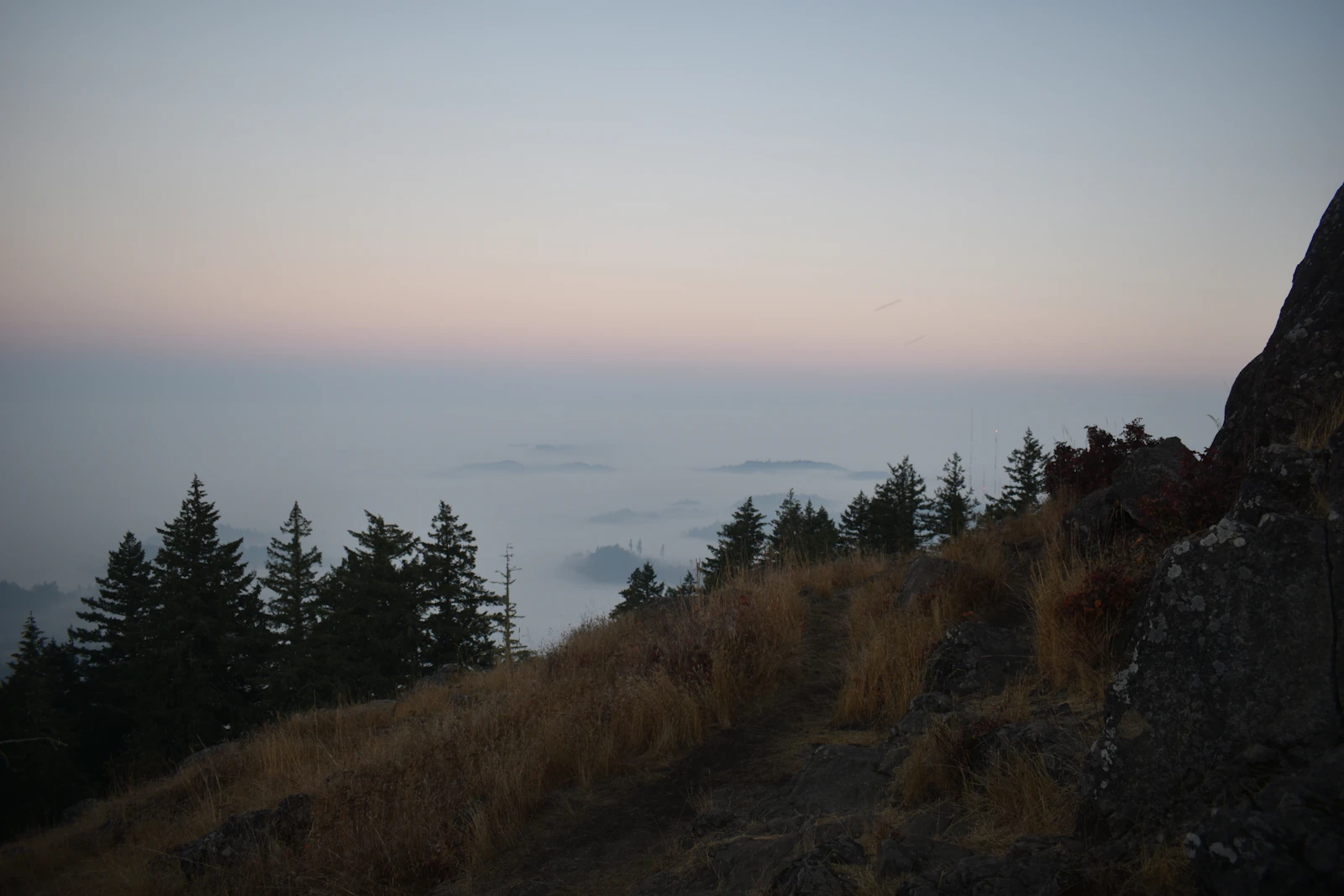 Eugene, Oregon photo 15 by Cai Rogers