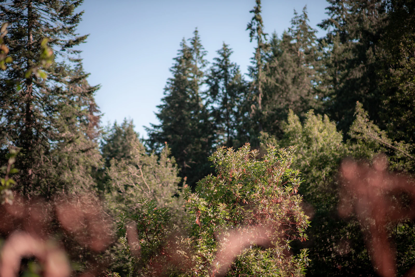 Eugene, Oregon photo 17 by Sinjin Thomas