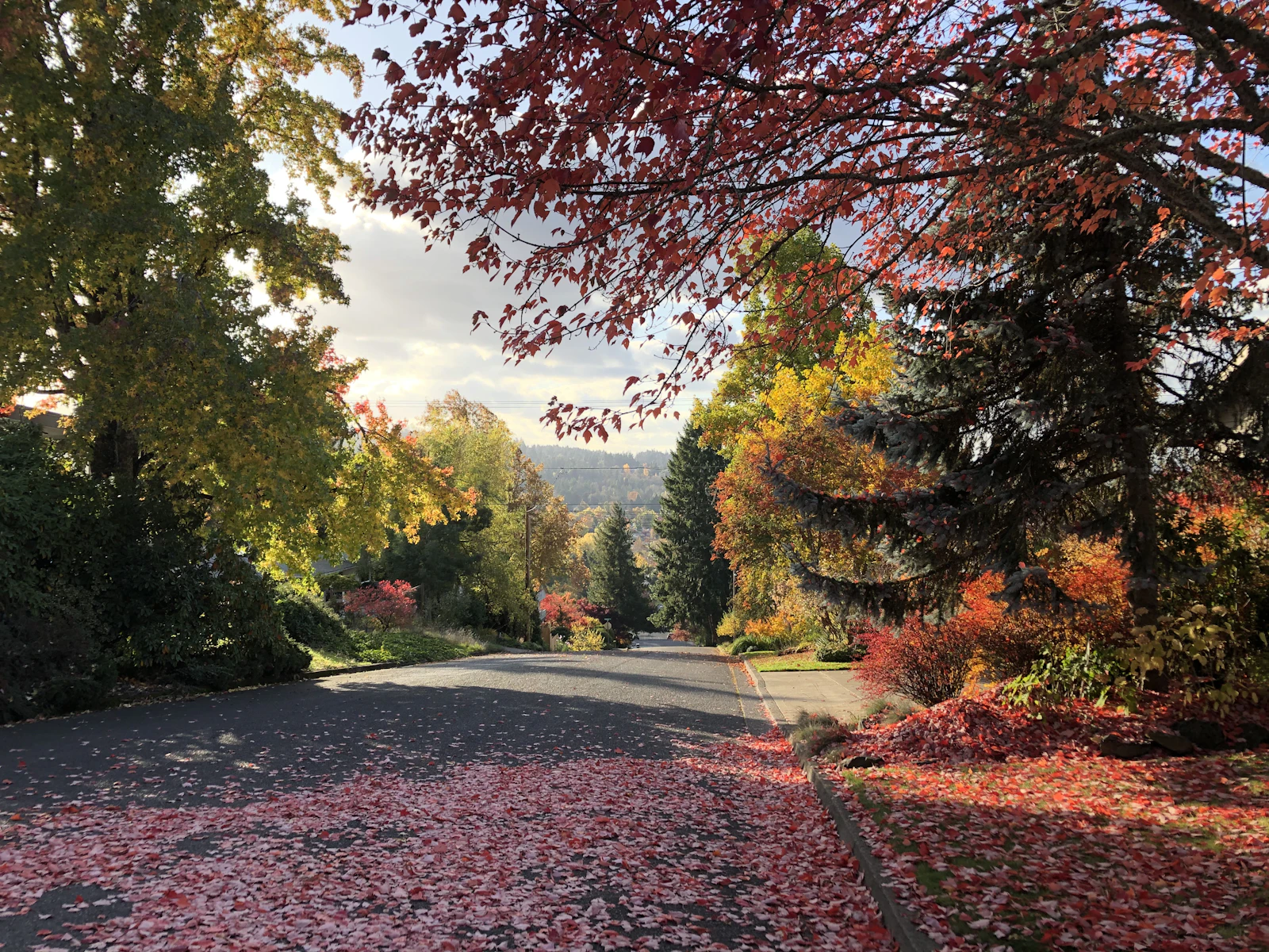 Eugene, Oregon photo 3 by Miguel Flores