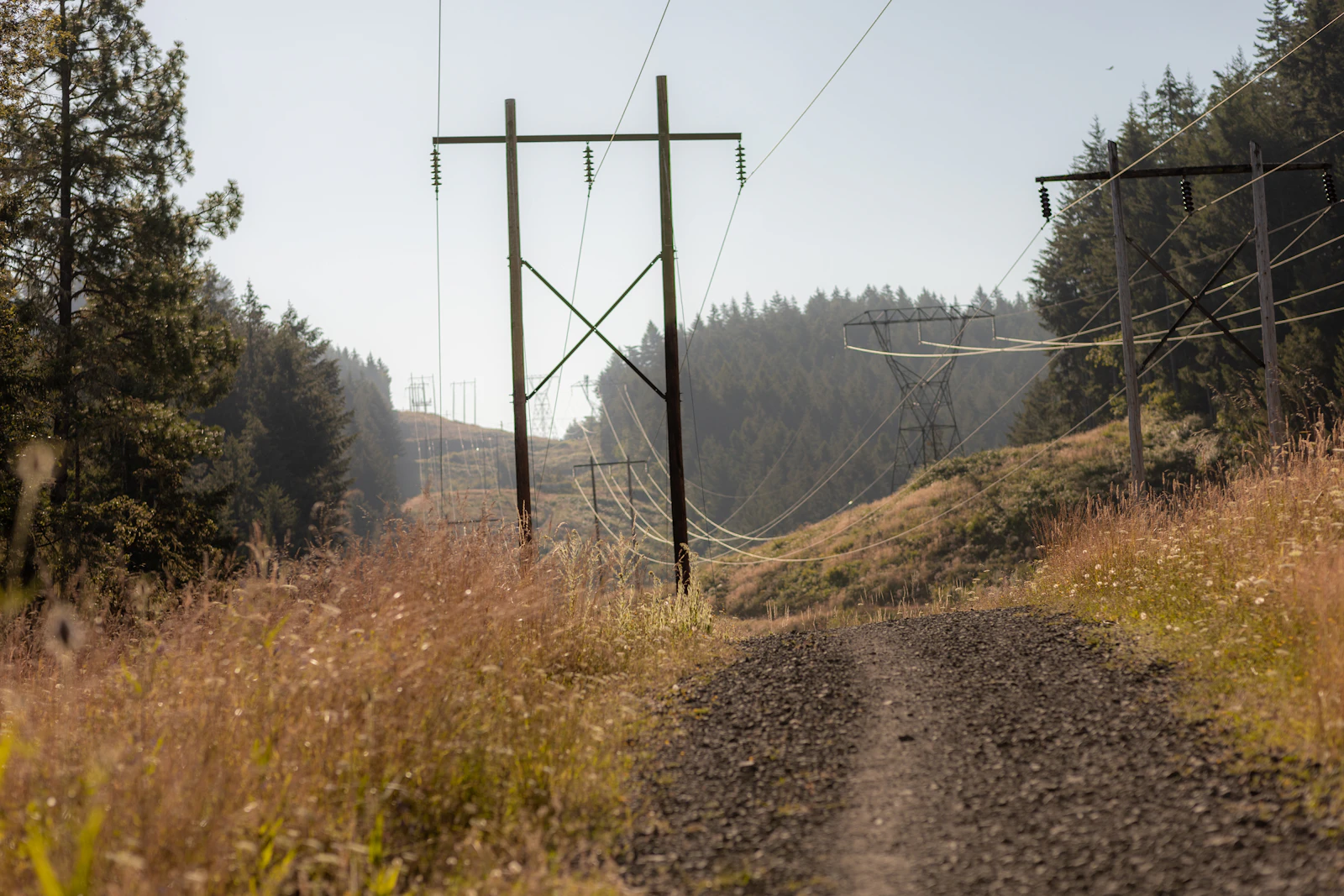 Eugene, Oregon photo 16 by Sinjin Thomas