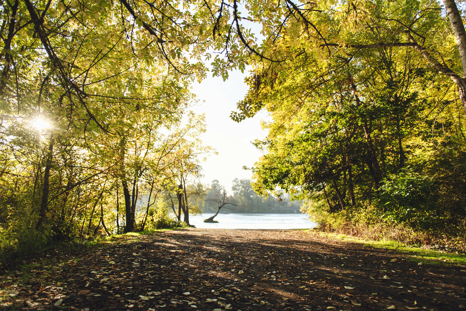 Eugene, Oregon photo 14 by Tim Mossholder