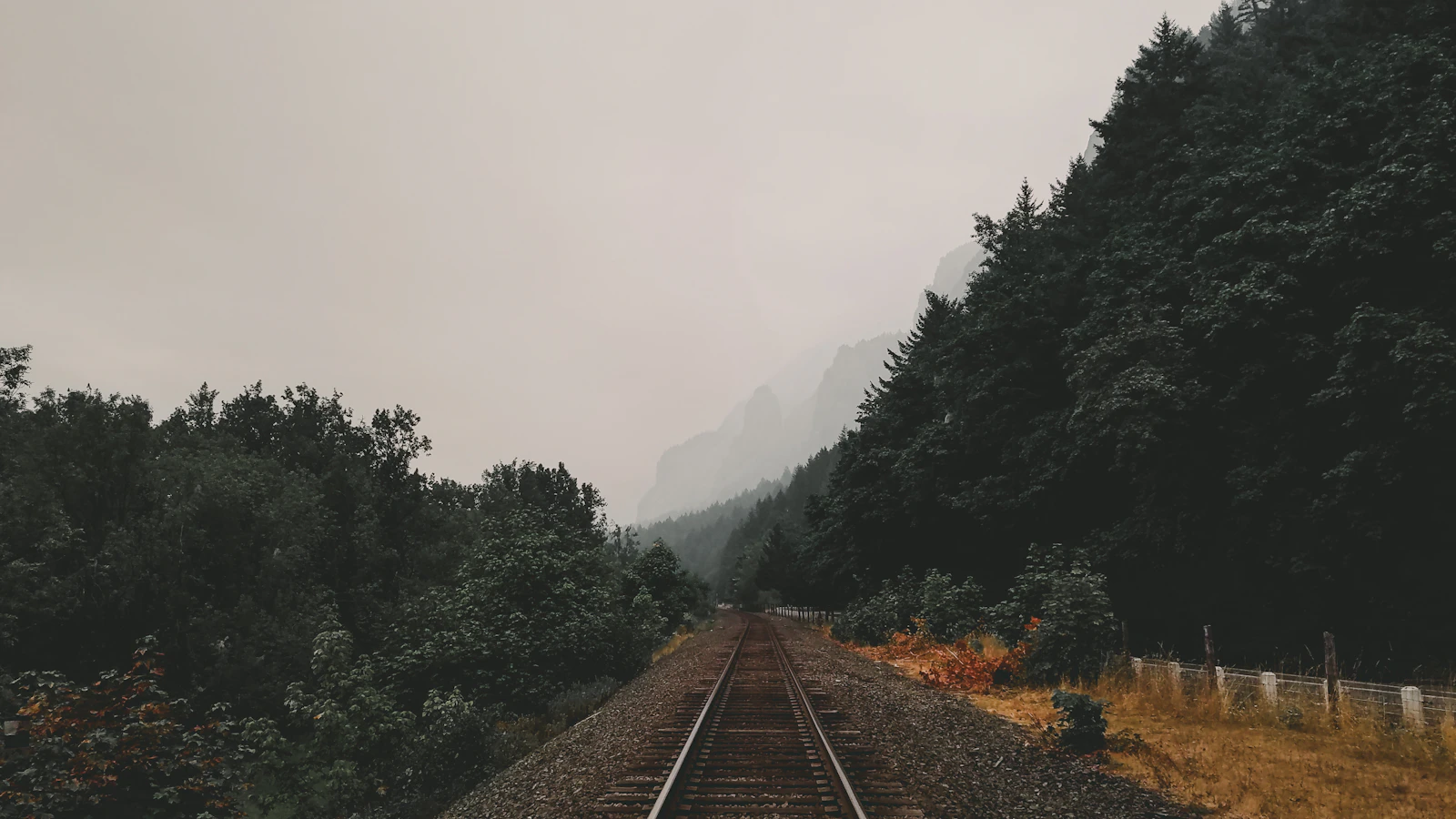 Hood River, Oregon photo 6 by Dale Nibbe