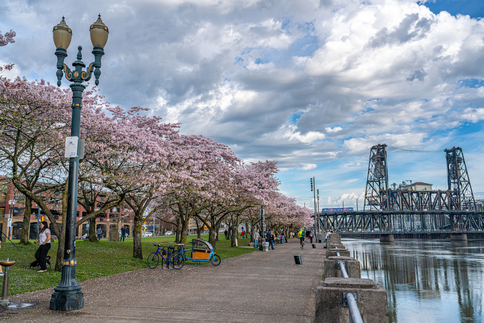 Portland, Oregon photo 14 by Richard Hedrick