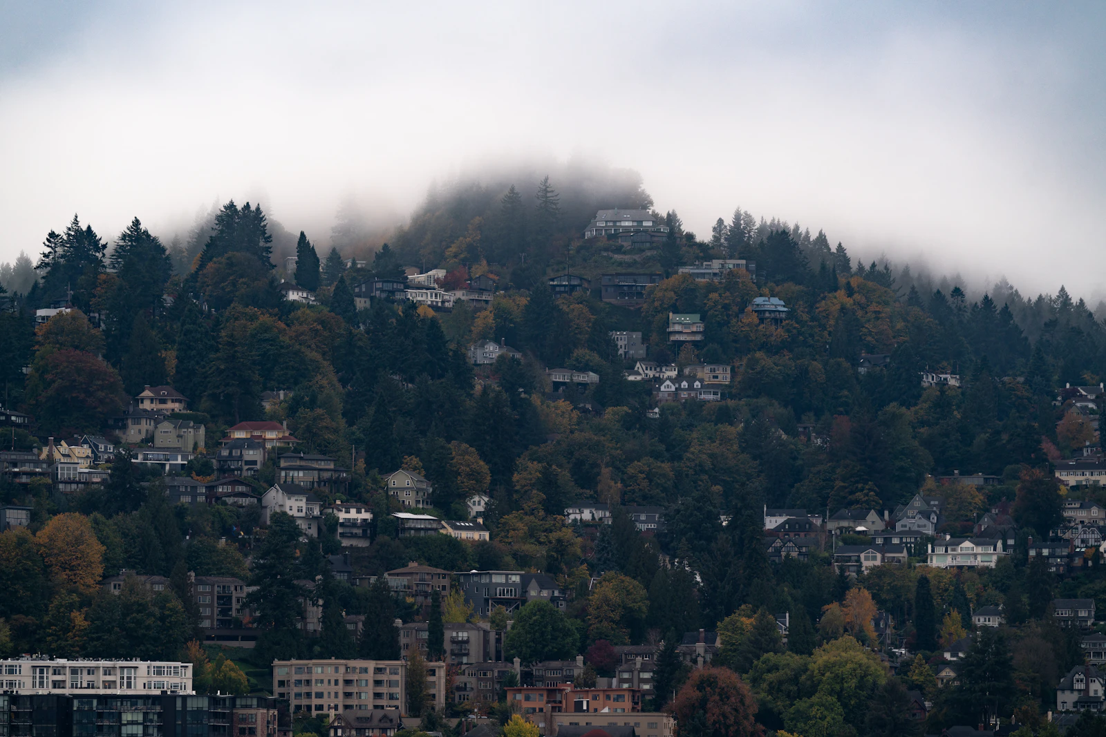Portland, Oregon photo 29 by Christopher Ott