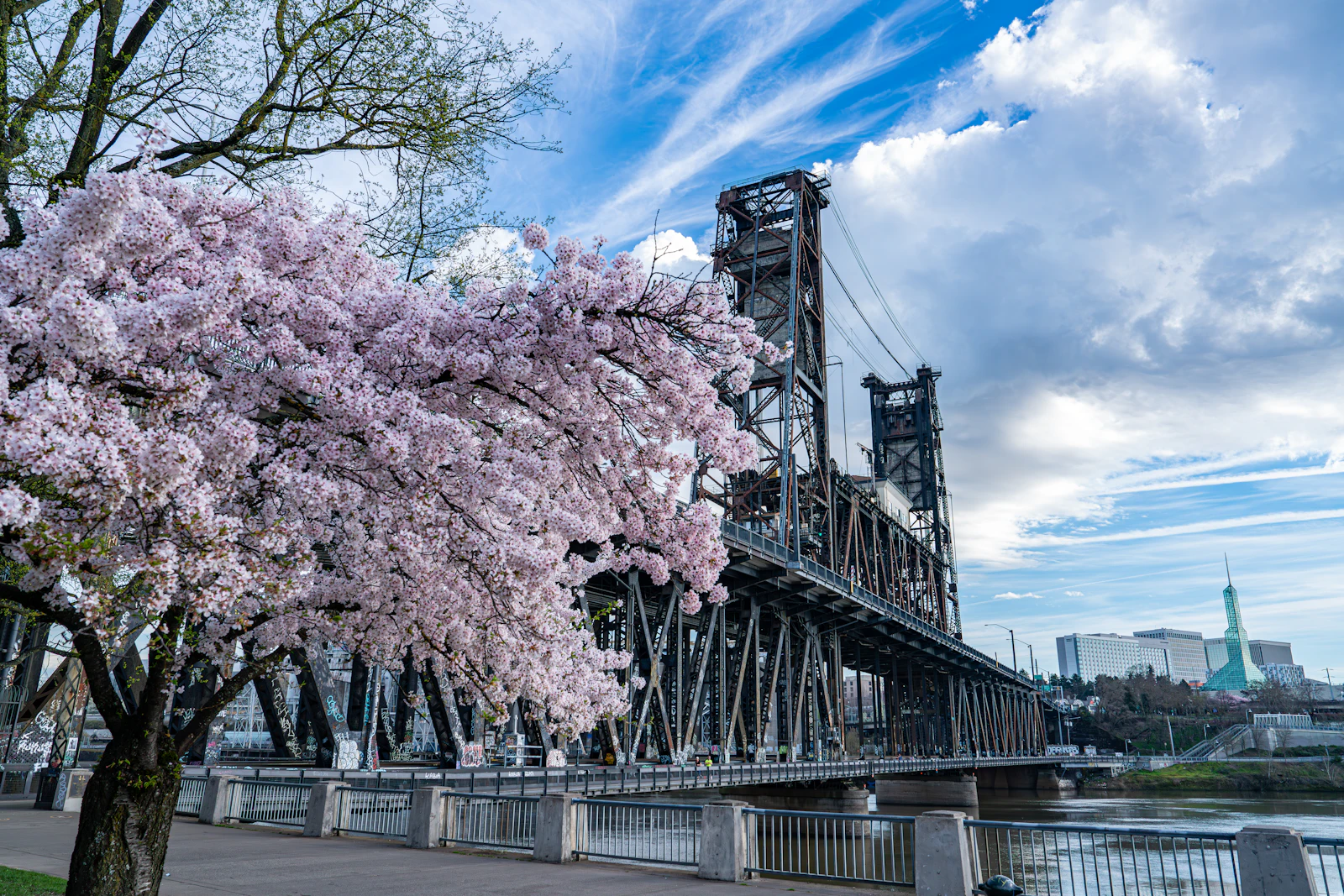 Portland, Oregon photo 20 by Richard Hedrick