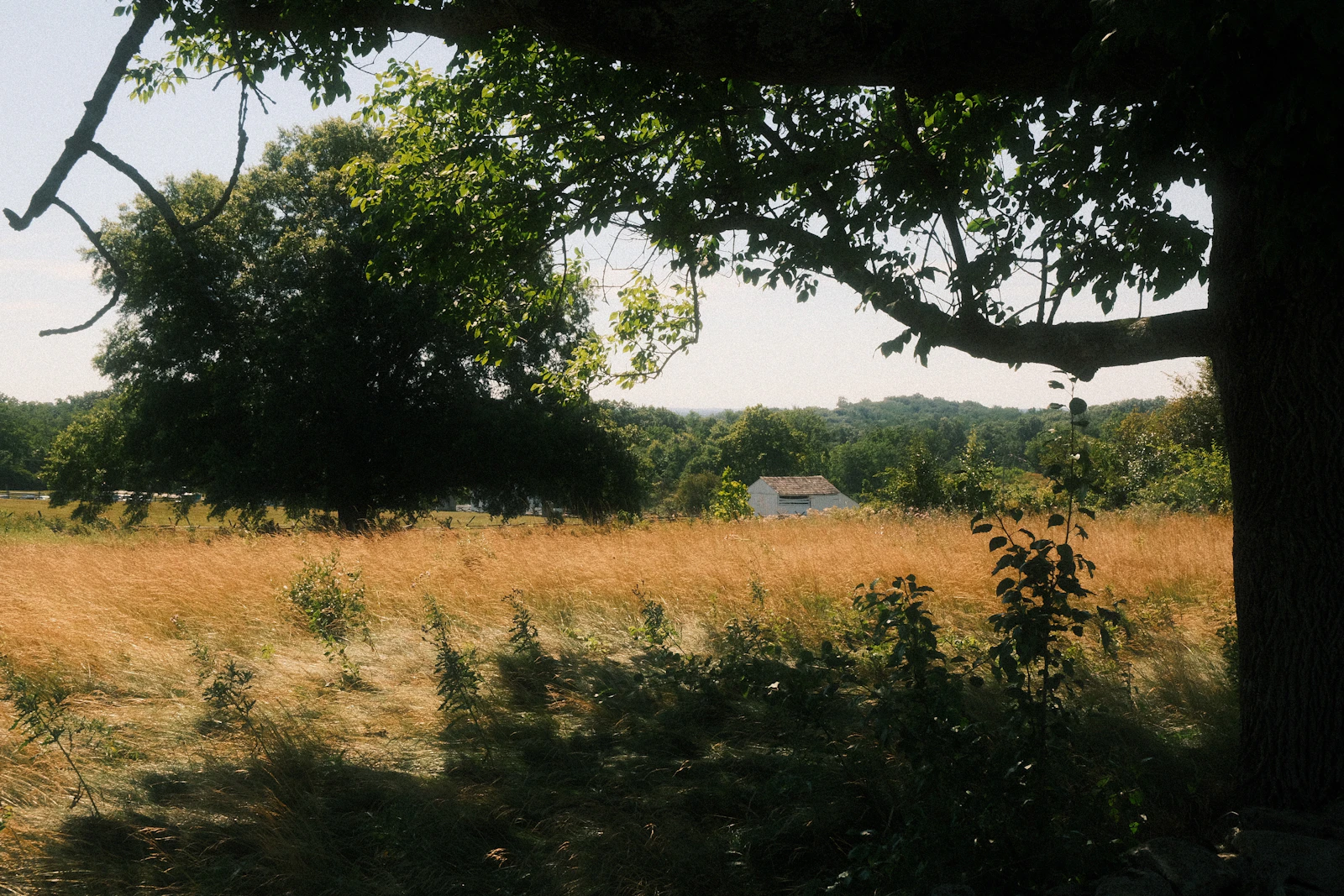 Gettysburg, Pennsylvania photo 7 by hayden