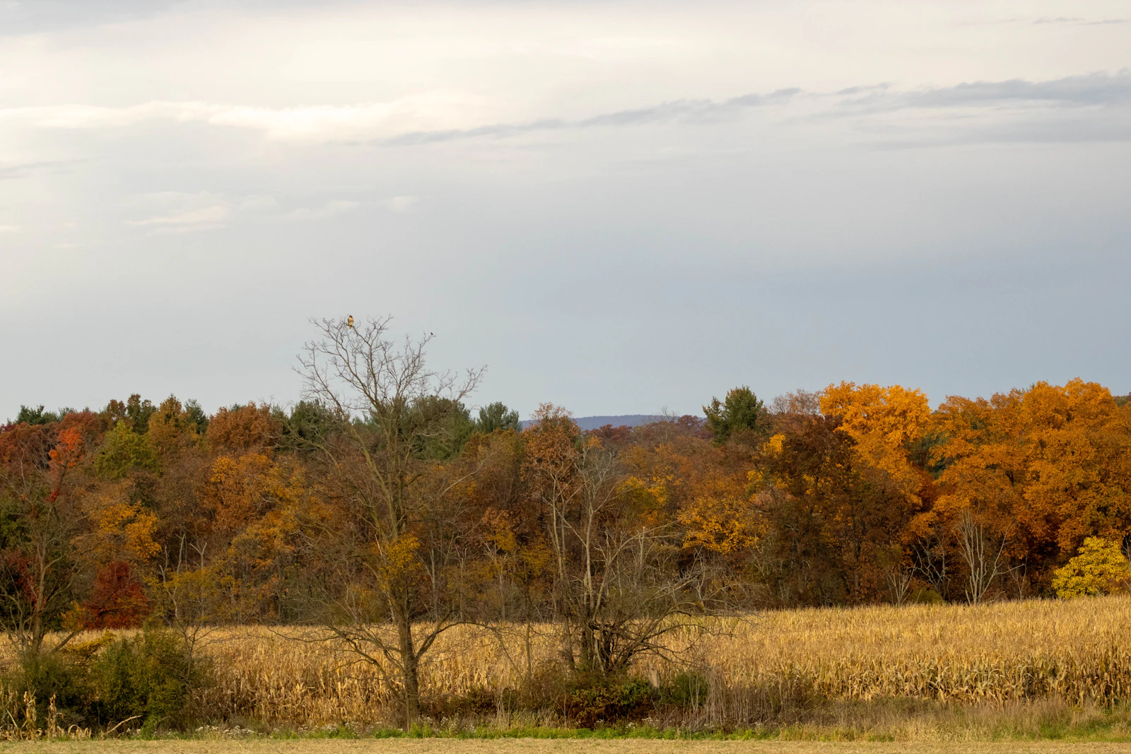 Gettysburg, Pennsylvania photo 6 by LaDawn Preuninger