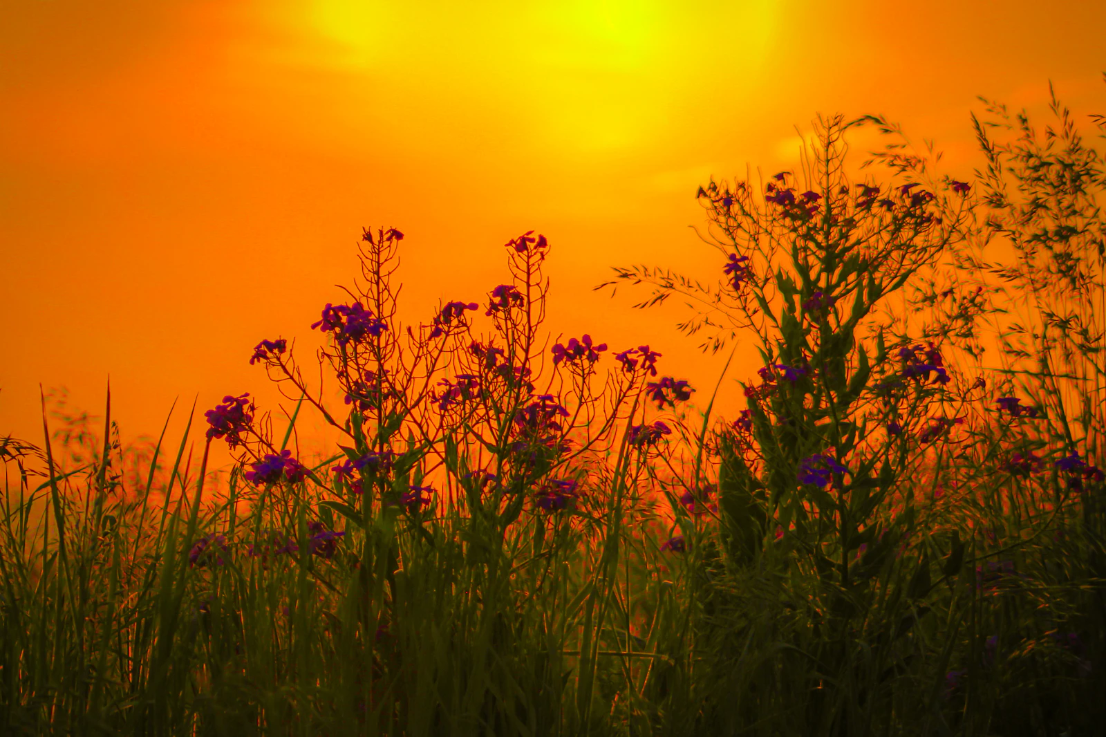 Gettysburg, Pennsylvania photo 19 by Johnny Kaufman