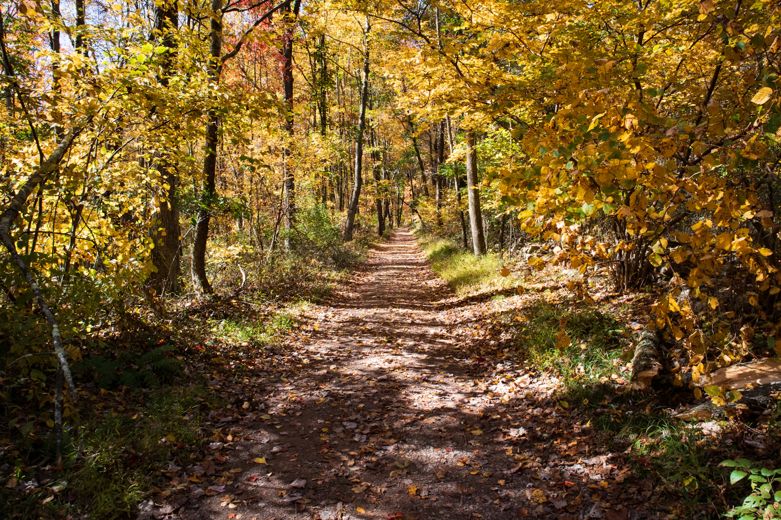 Jim Thorpe, Pennsylvania photo 2 by Ryan Stone