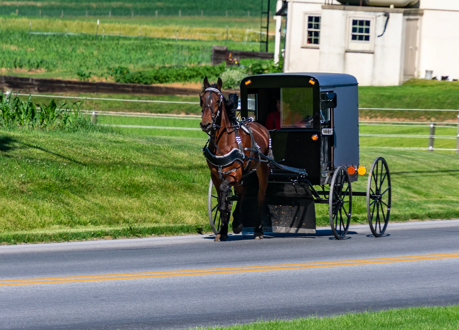 Lancaster, Pennsylvania photo 6 by Stephen Crane