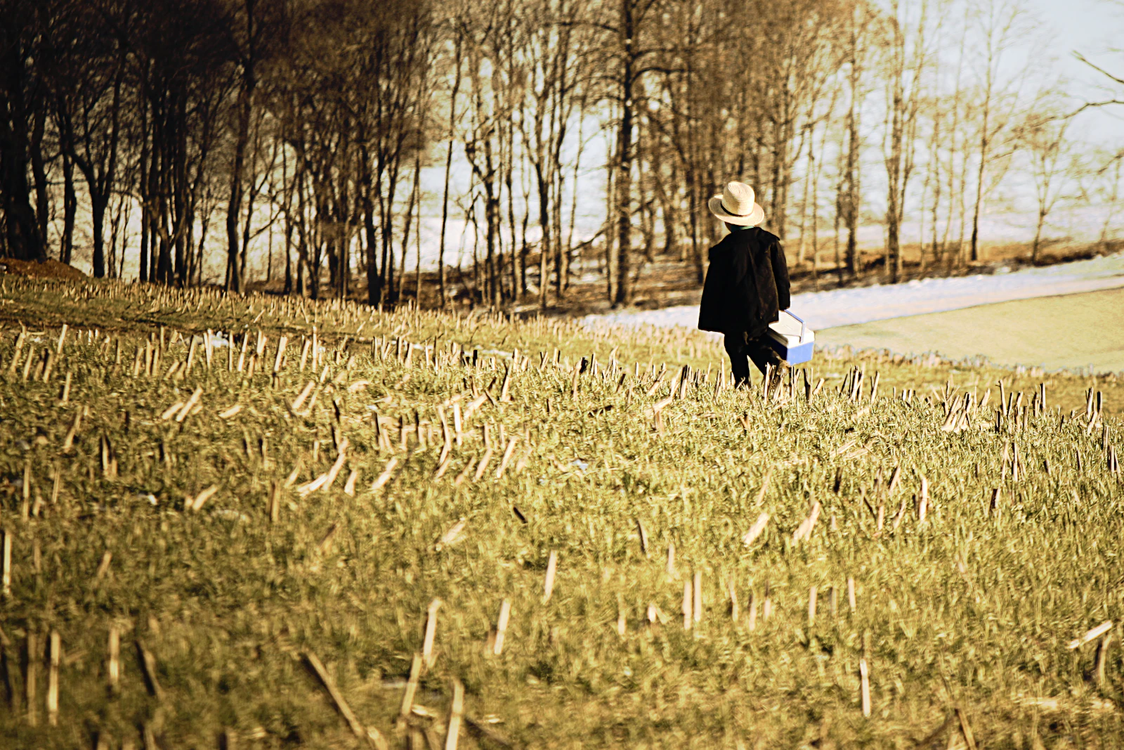 Lancaster, Pennsylvania photo 24 by Chris Riggs