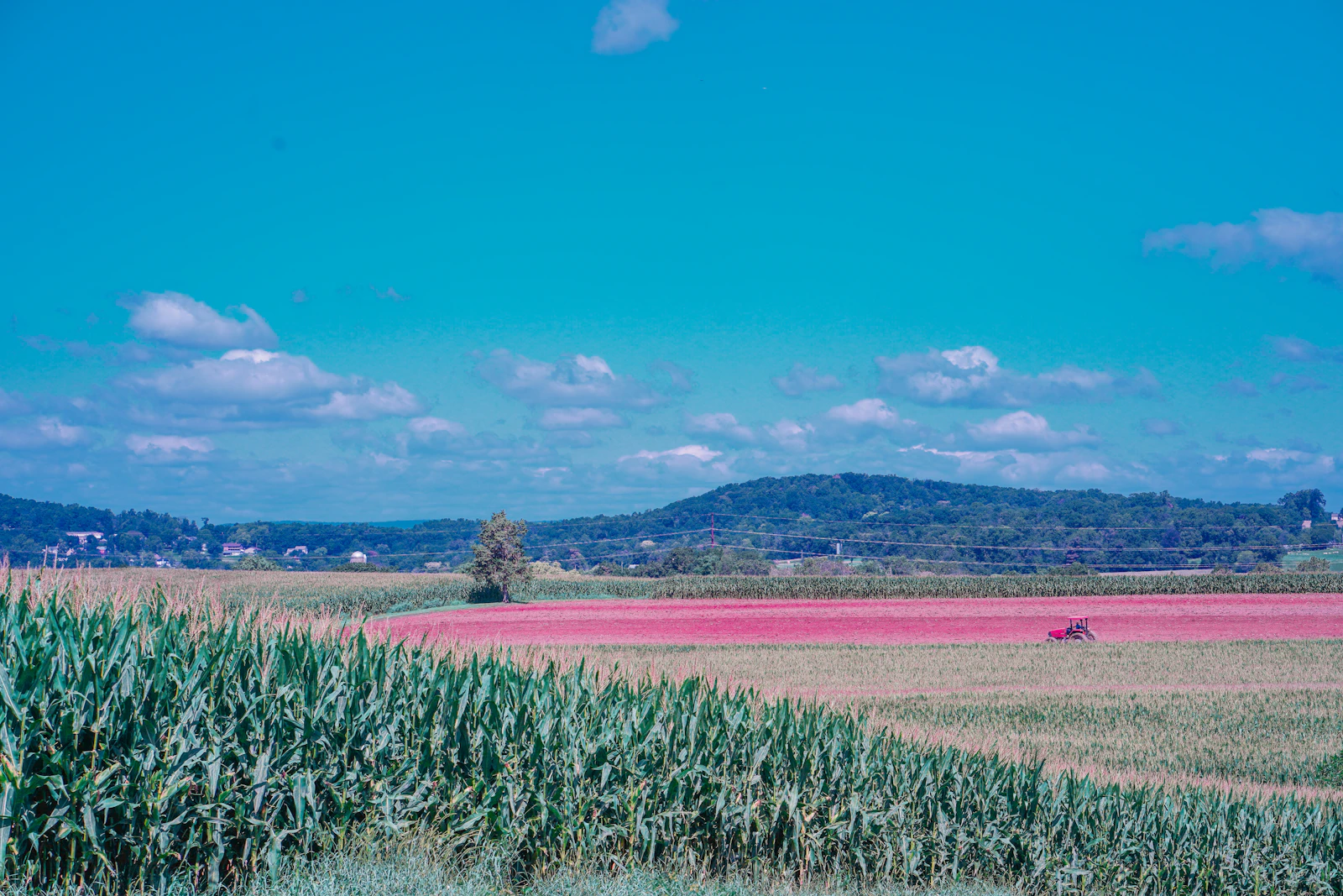 Lancaster, Pennsylvania photo 19 by A n v e s h