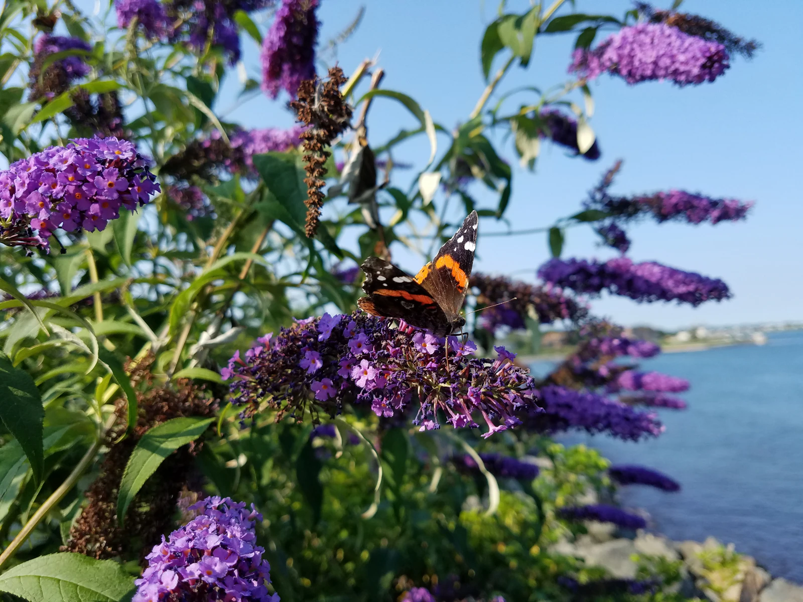 Newport, Rhode Island photo 15 by something magical