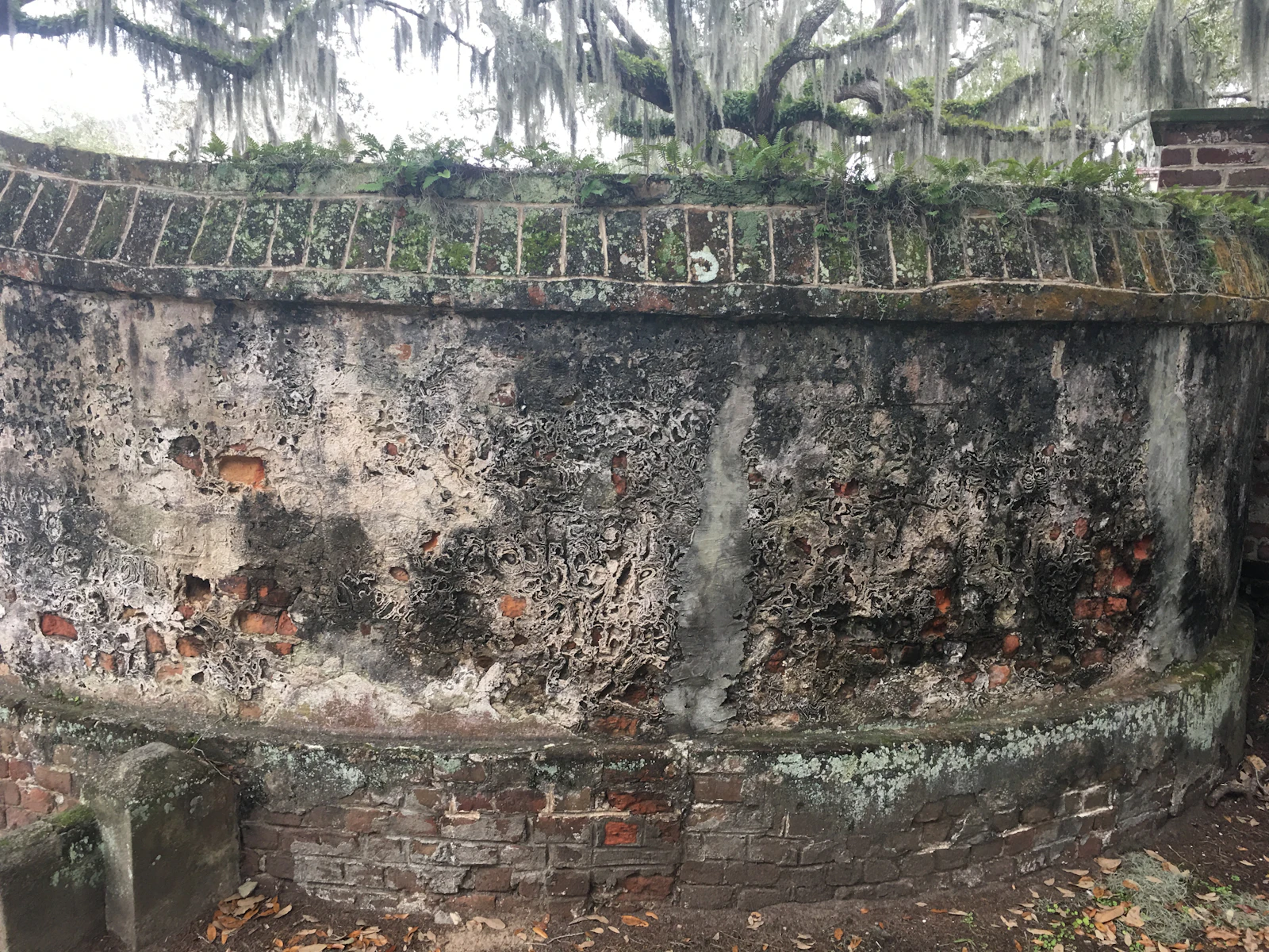 Beaufort, South Carolina photo 4 by Julianne Clark