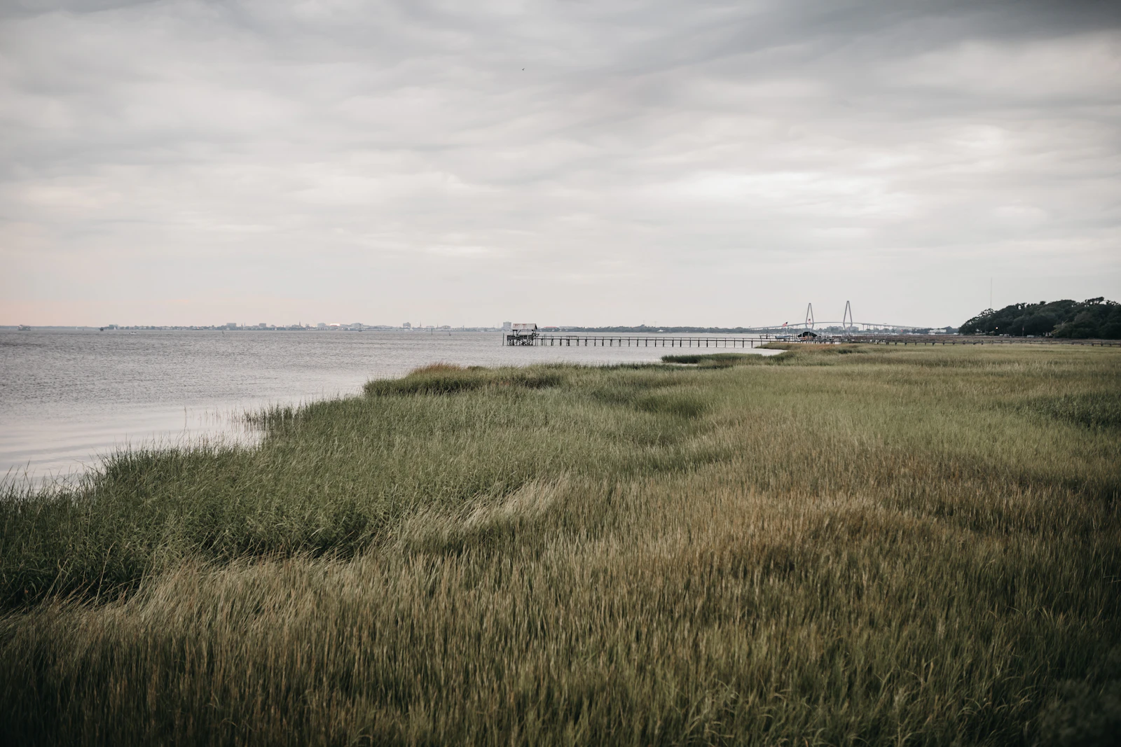 Charleston, South Carolina photo 30 by Tanner Marquis