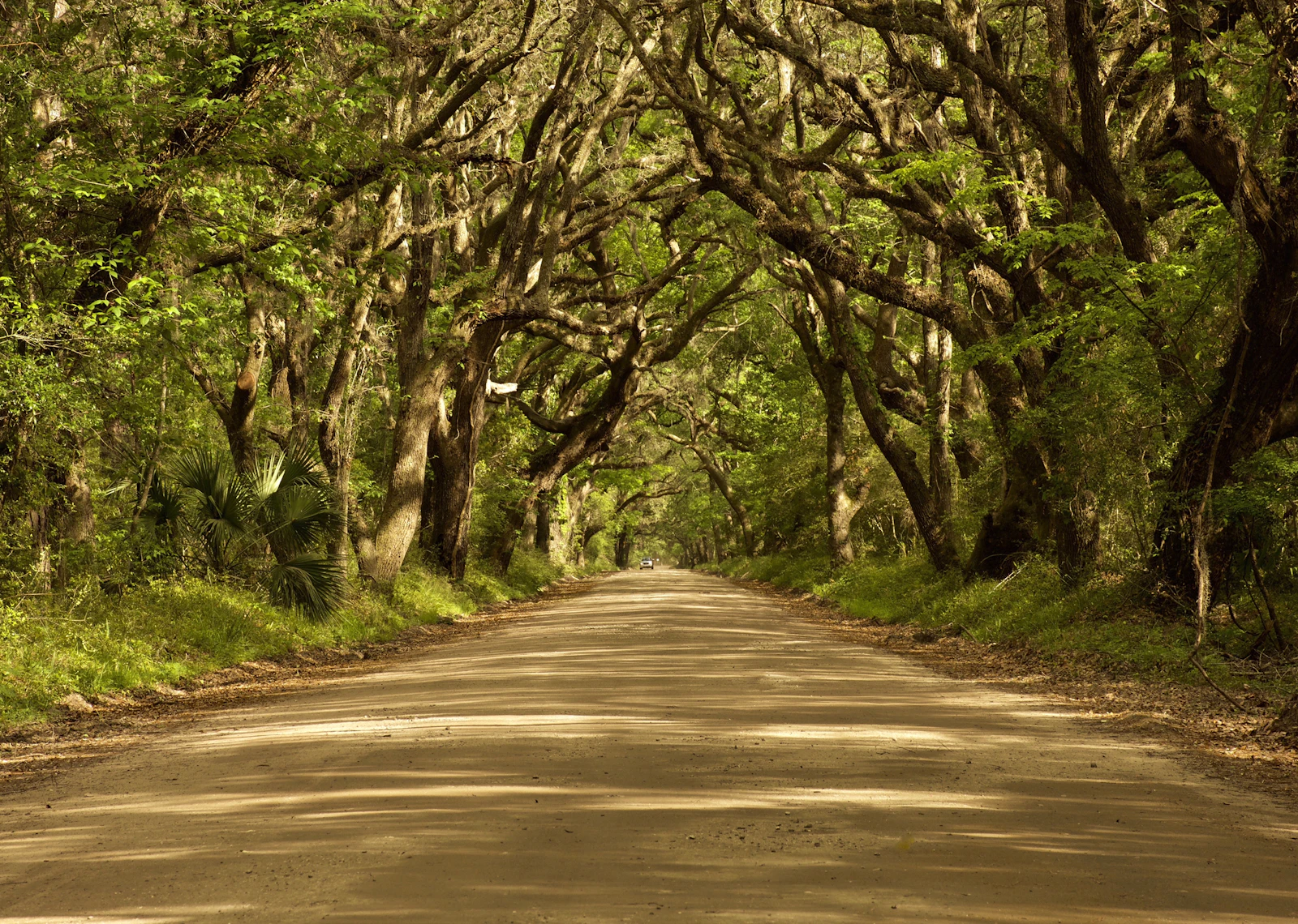 Charleston, South Carolina photo 14 by Darlene