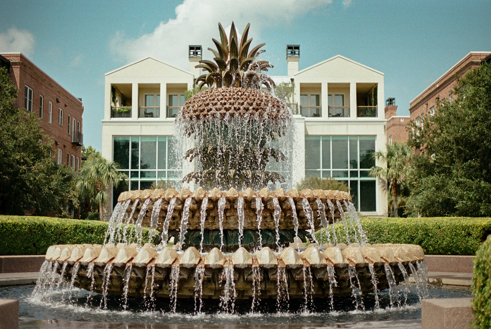 Charleston, South Carolina photo 9 by Emmy Gaddy