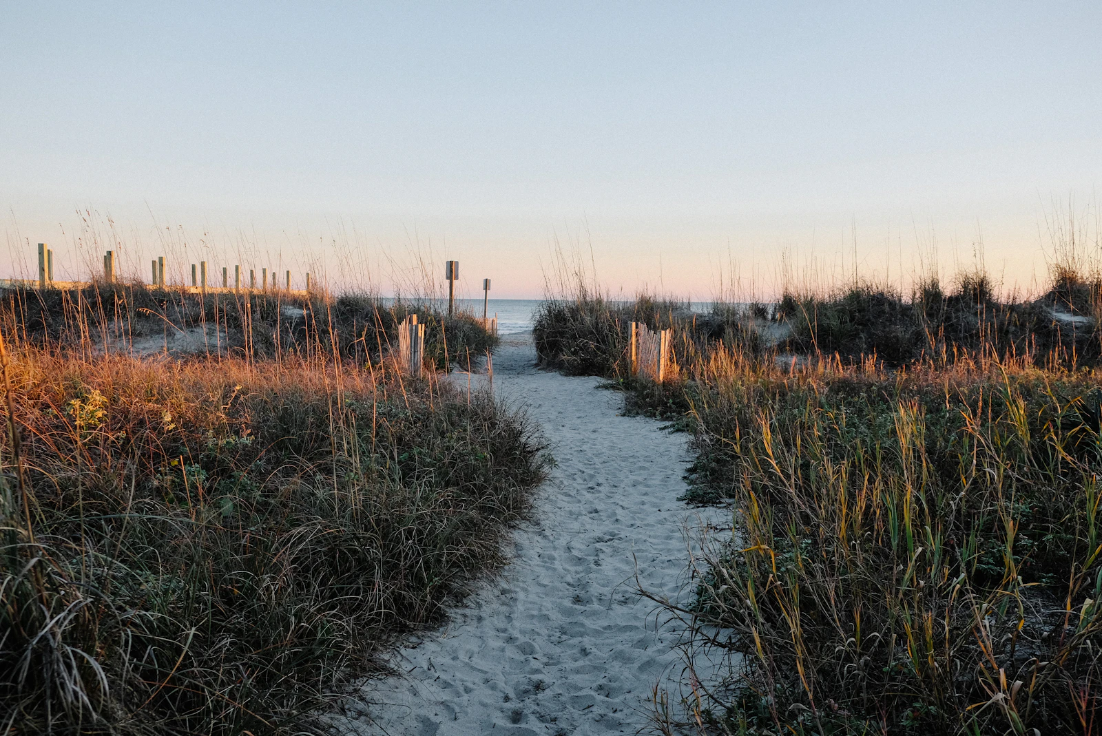 Charleston, South Carolina photo 7 by Kelsey Schisler